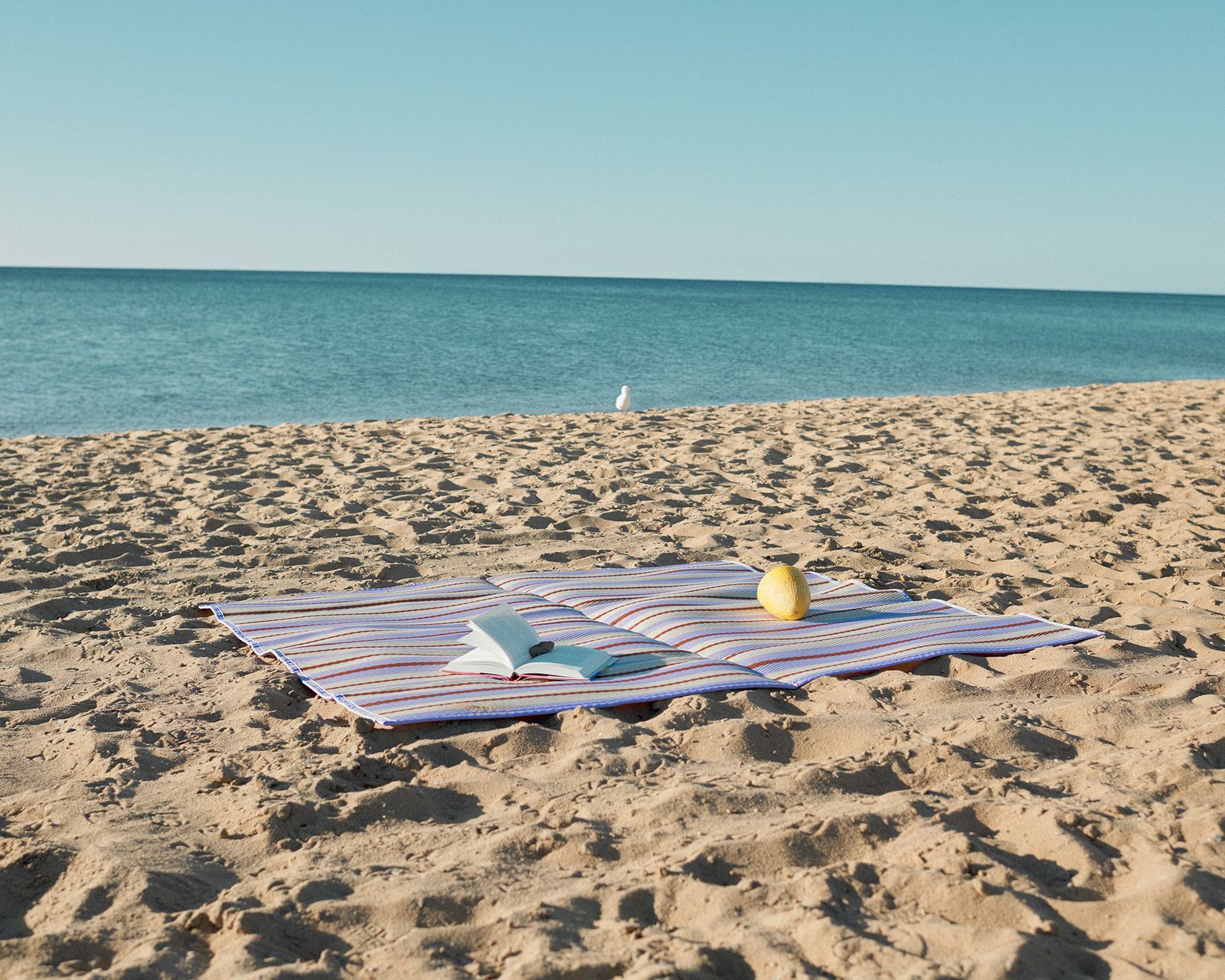 Laze - Victoria Zschommler - Photography - Swan MGMT