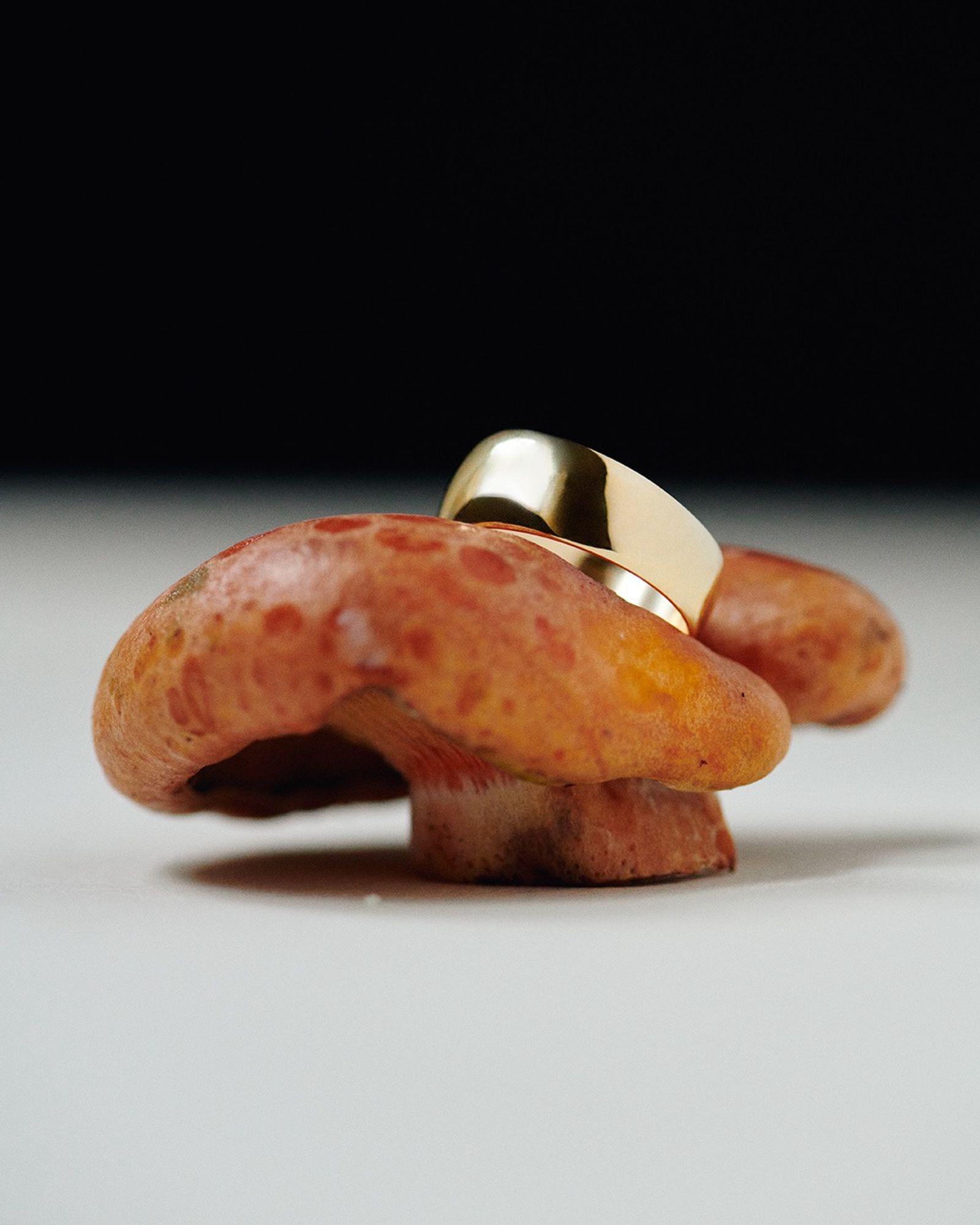 One Magazine - Victoria Zschommler - Photography - Swan MGMT