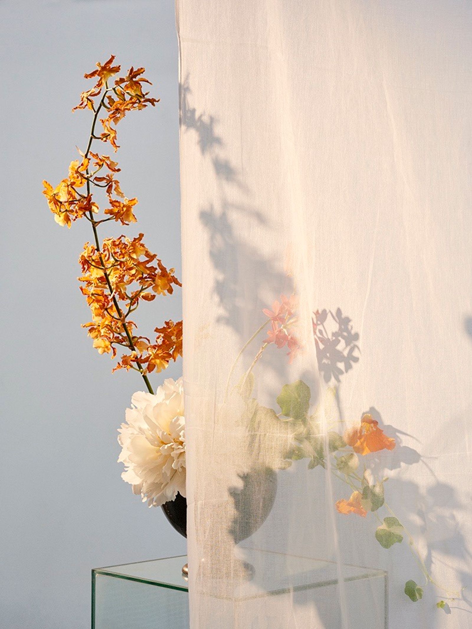 Flowers - Victoria Zschommler - Photography - Swan MGMT