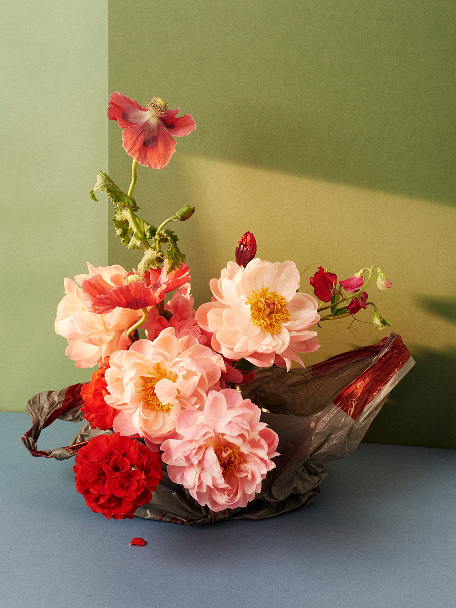 Flowers - Victoria Zschommler - Photography - Swan MGMT