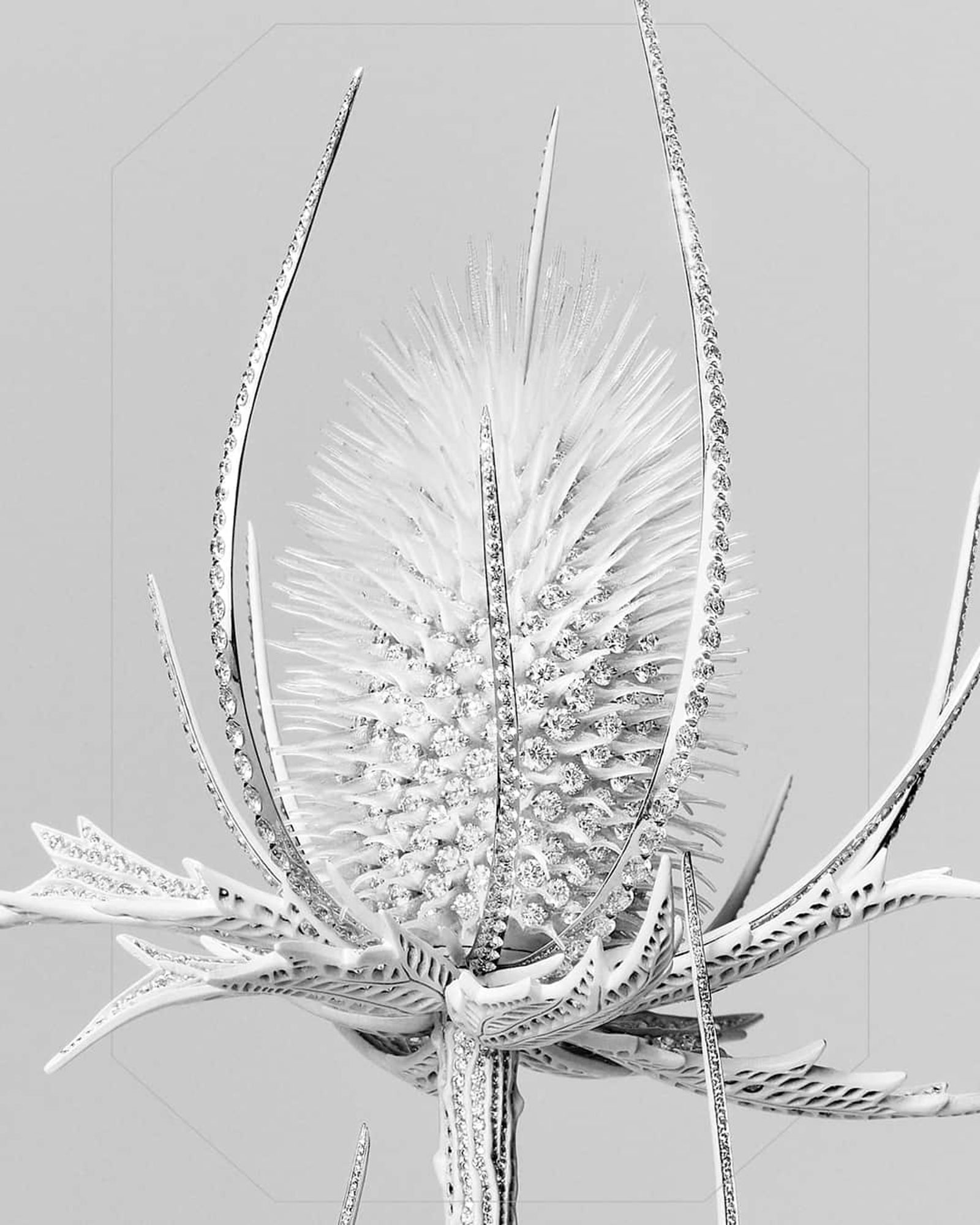 Boucheron,|Photography by Charles Nègre - Anna Piasek - Set Design - Swan MGMT