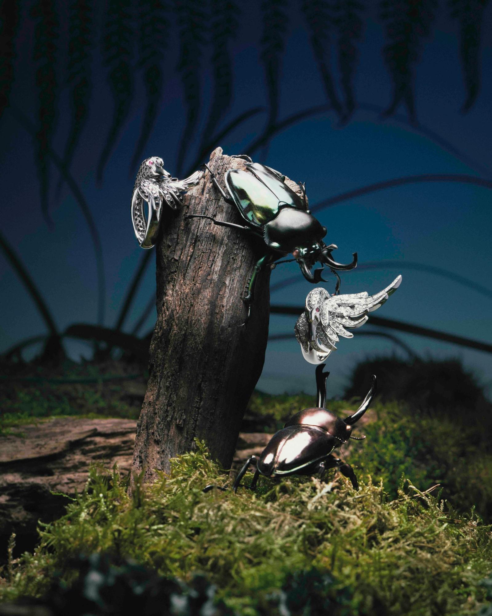 Novembre Magazine, shot by Romain Roucoules - Anna Piasek - Set Design - Swan MGMT