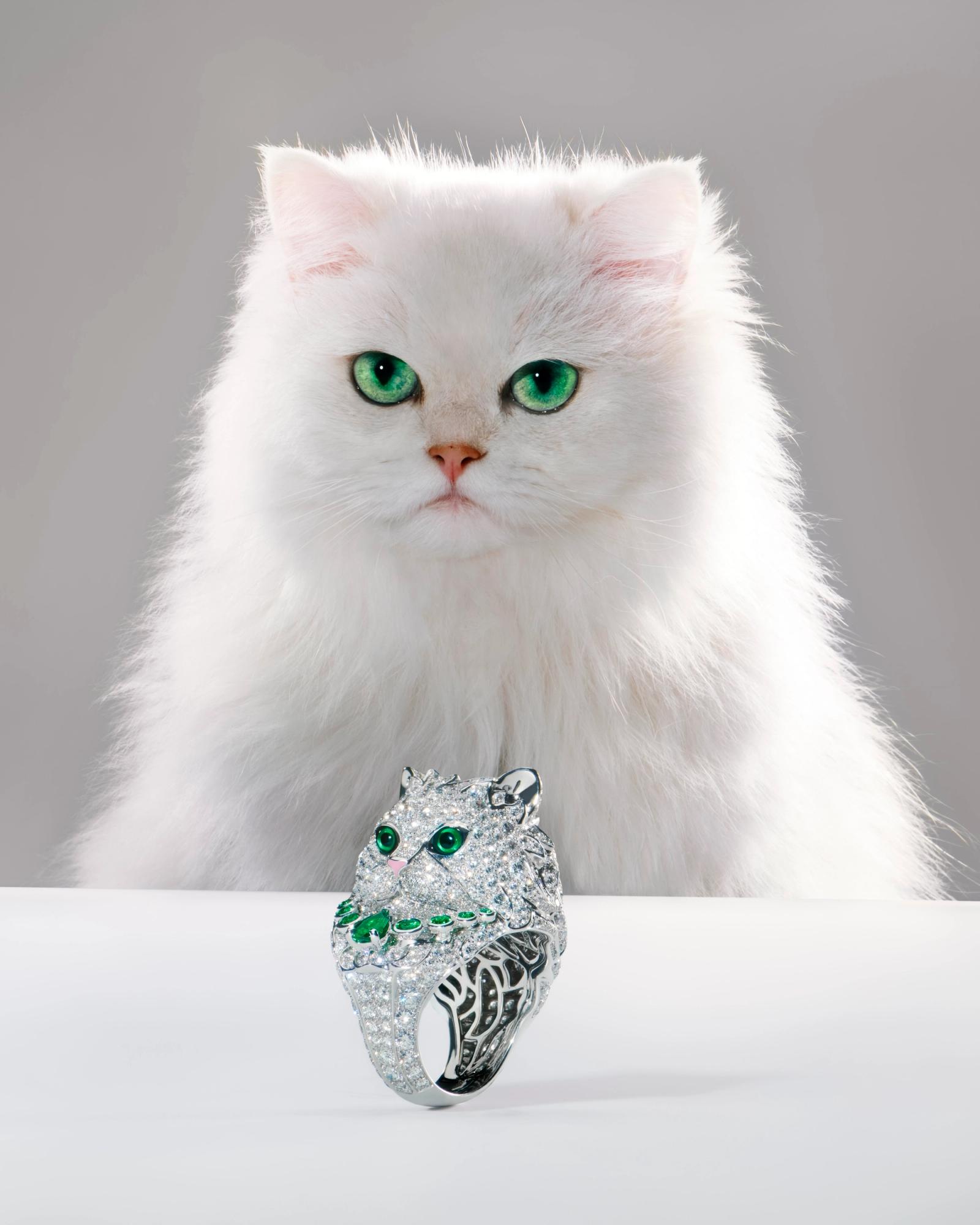 Boucheron, |Photography by Max Siedentopf - Anna Piasek - Set Design - Swan MGMT