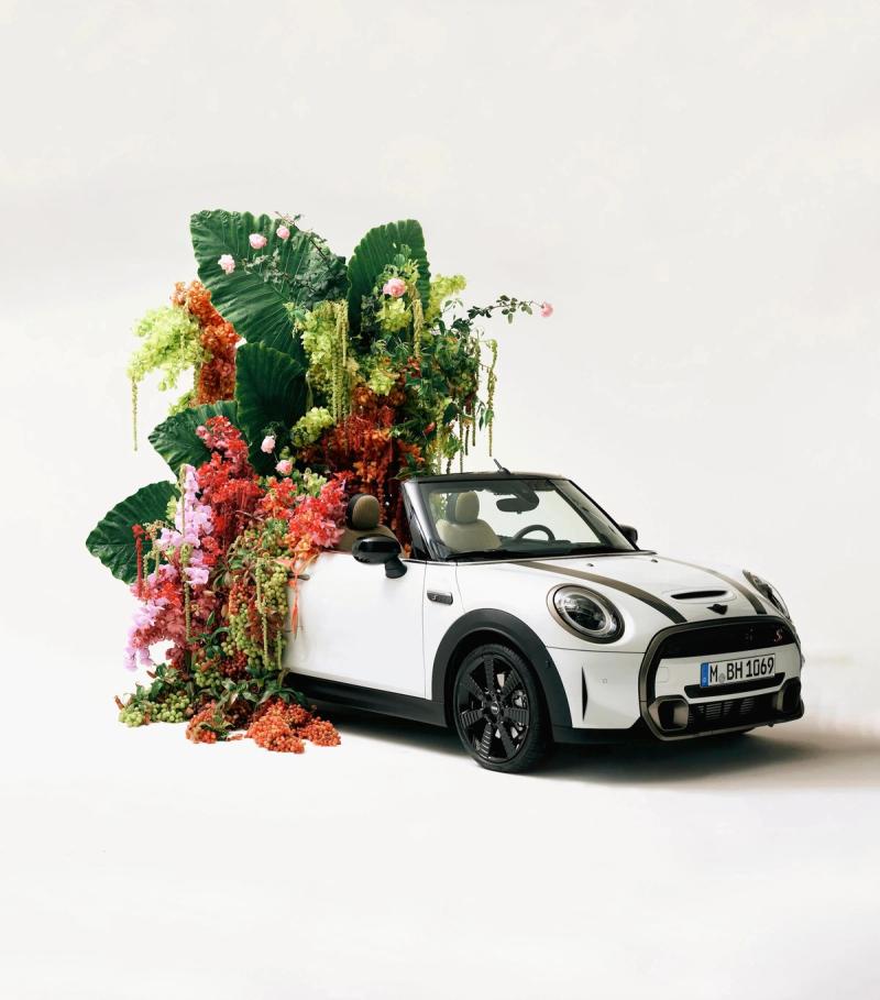 Mary Lennox - Flower artist - Swan MGMT