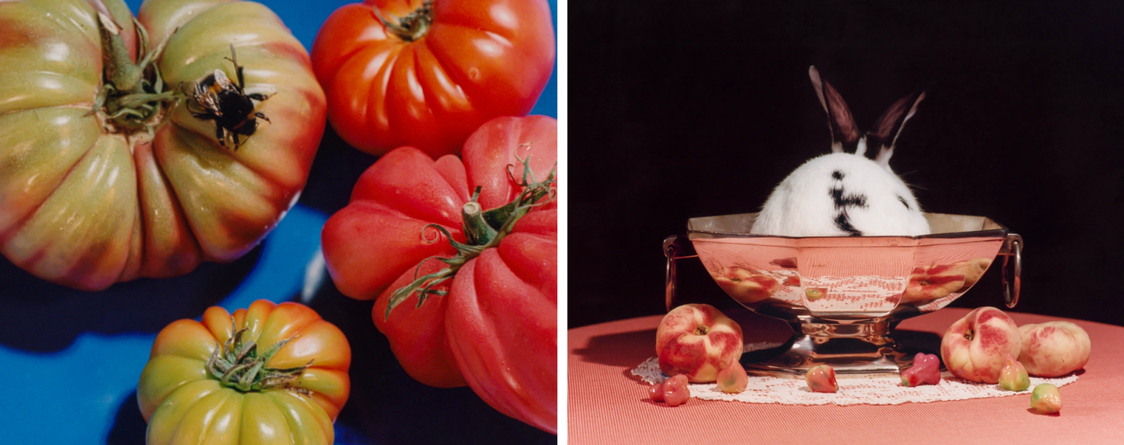 Excuse me, Sir, |Photography by Em Cole - Lizzy Gilbert - Set Design - Swan MGMT