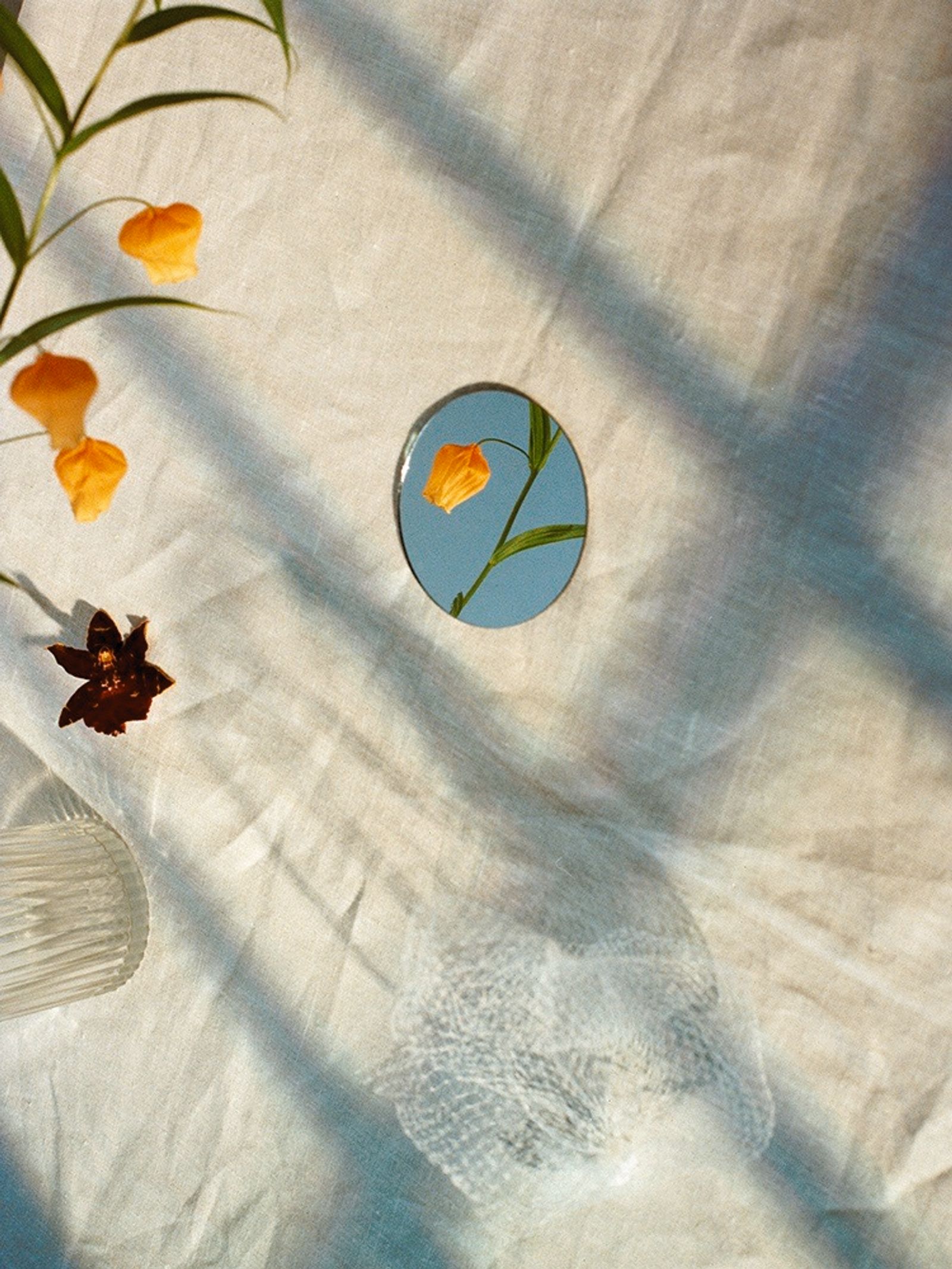 Flowers - Victoria Zschommler - Photography - Swan MGMT