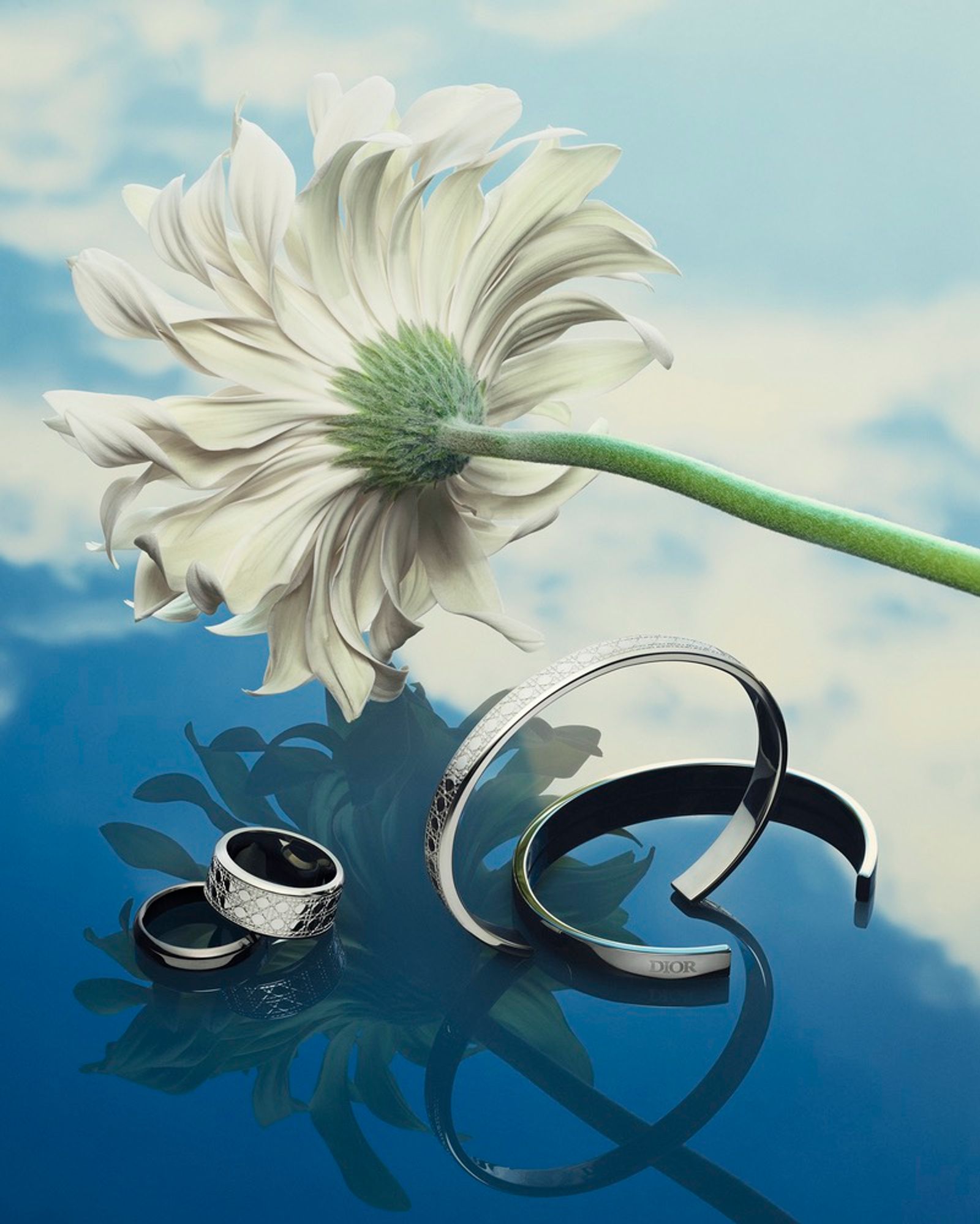 Dior,|Photography by Romain Roucoules - Sebastien Michelini - Set Design - Swan MGMT