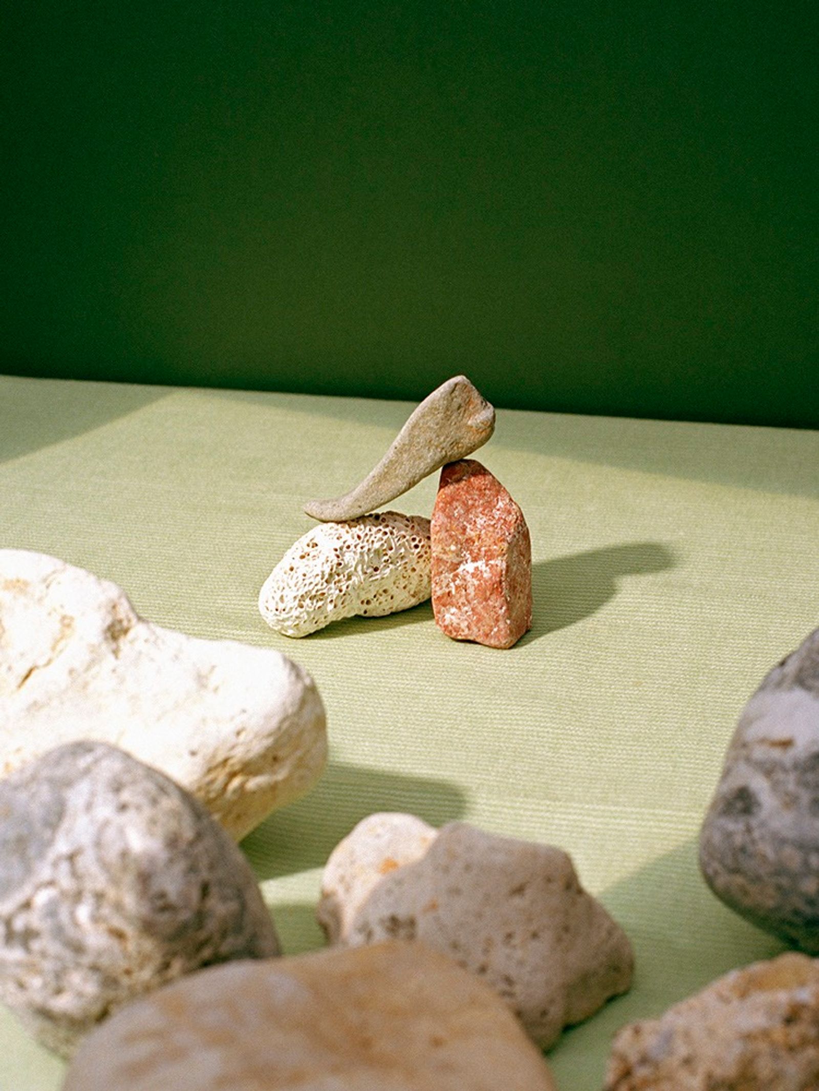 Doing Bird - Victoria Zschommler - Photography - Swan MGMT