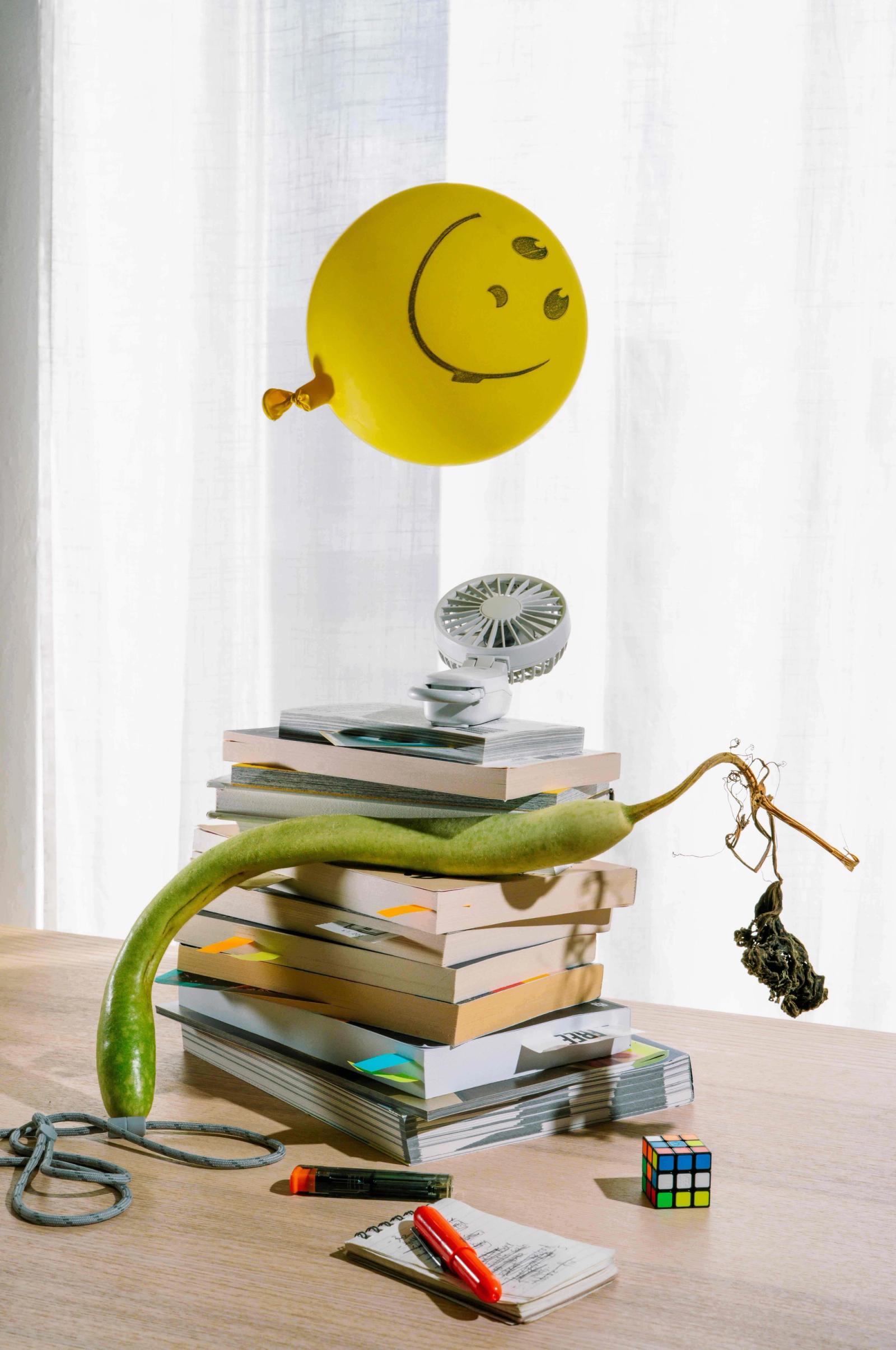 portfolio - Minh Ngoc Nguyen - Photography - Swan MGMT