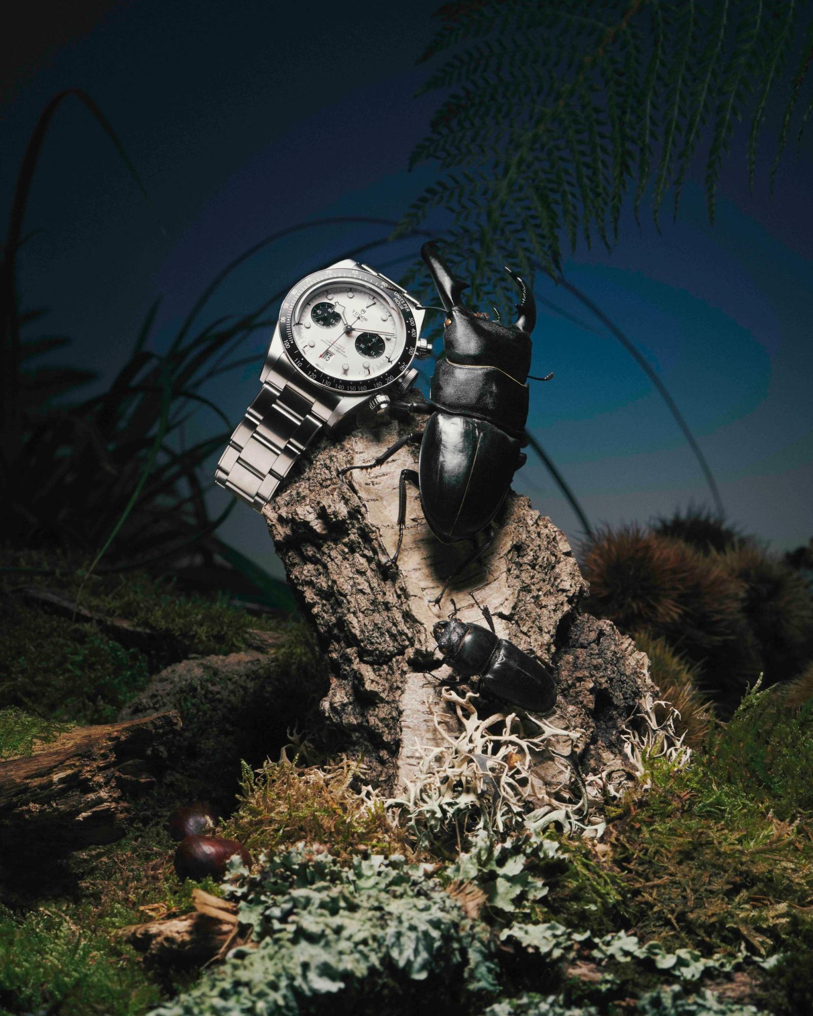 Novembre Magazine, shot by Romain Roucoules - Anna Piasek - Set Design - Swan MGMT