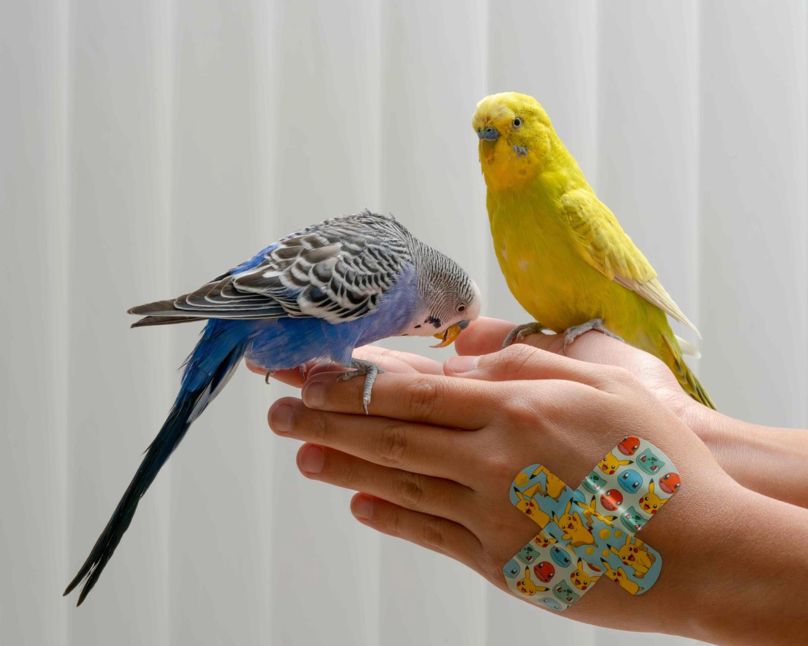 portfolio - Minh Ngoc Nguyen - Photography - Swan MGMT