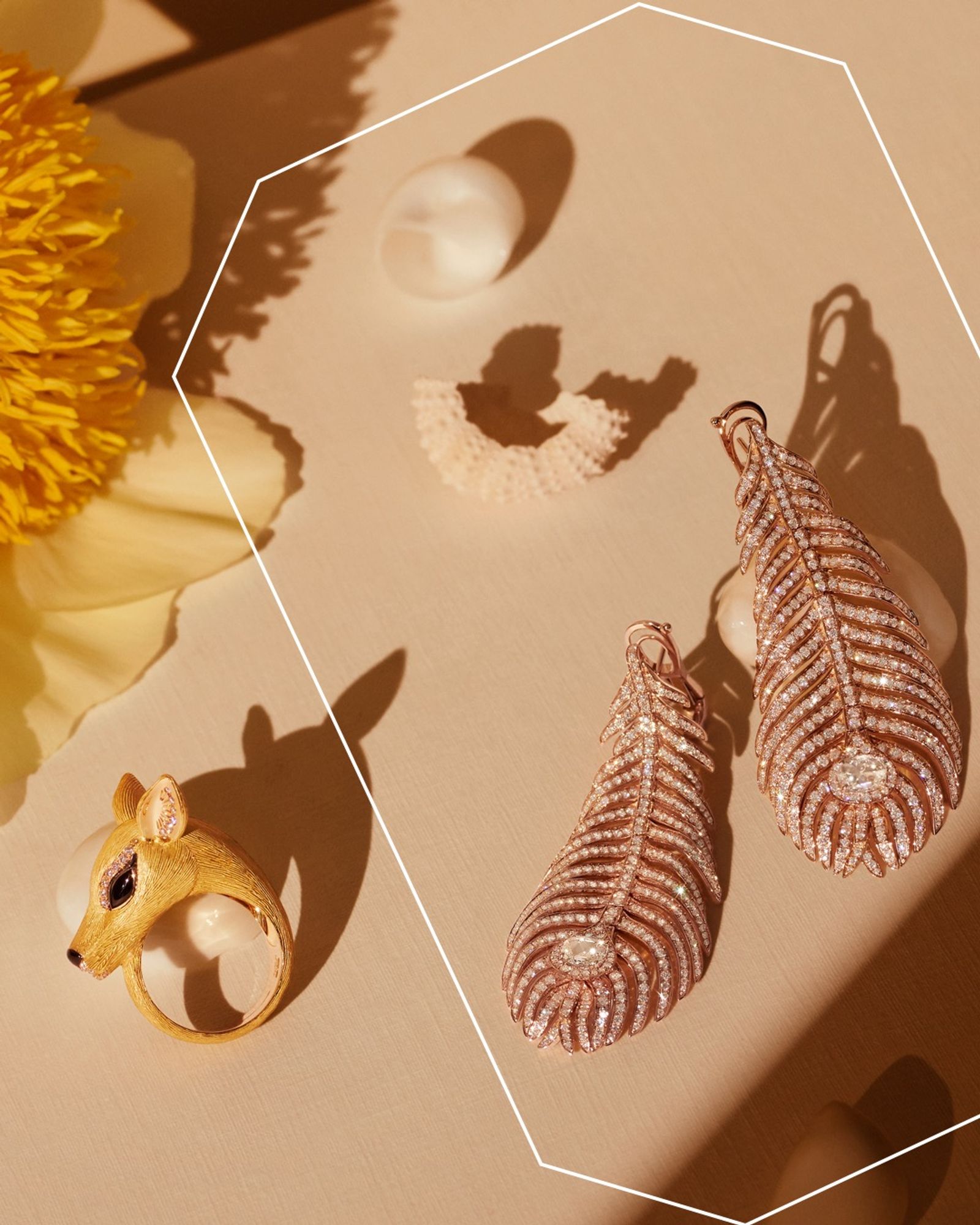 Boghossian,|Photography by Joan Braun - Anna Sbiera - Set Design - Swan MGMT