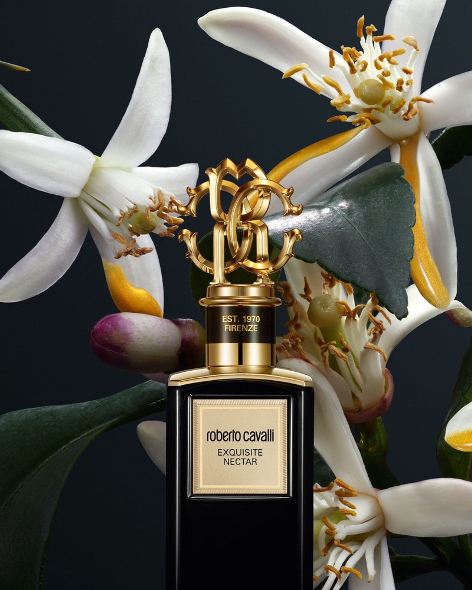 Roberto Cavalli,|Photography by Justinas Vilutus - Rémi Le Garrec - Set Design - Swan MGMT