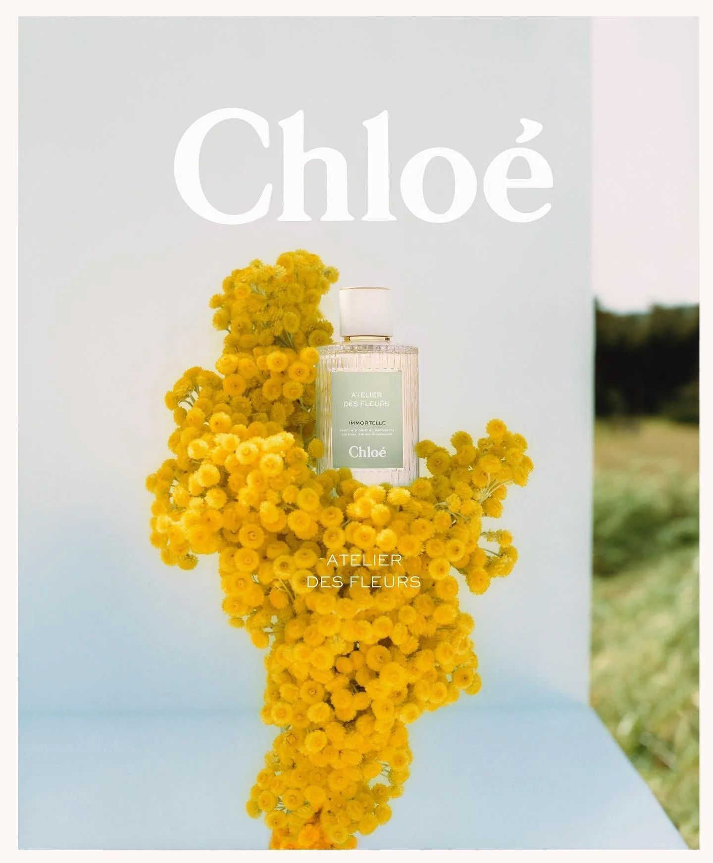 Chloe Atelier des Fleurs - Mary Lennox - Set Design - Swan MGMT