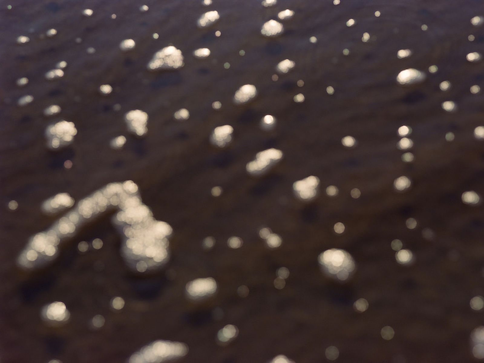 La Mer - Victoria Zschommler - Photography - Swan MGMT