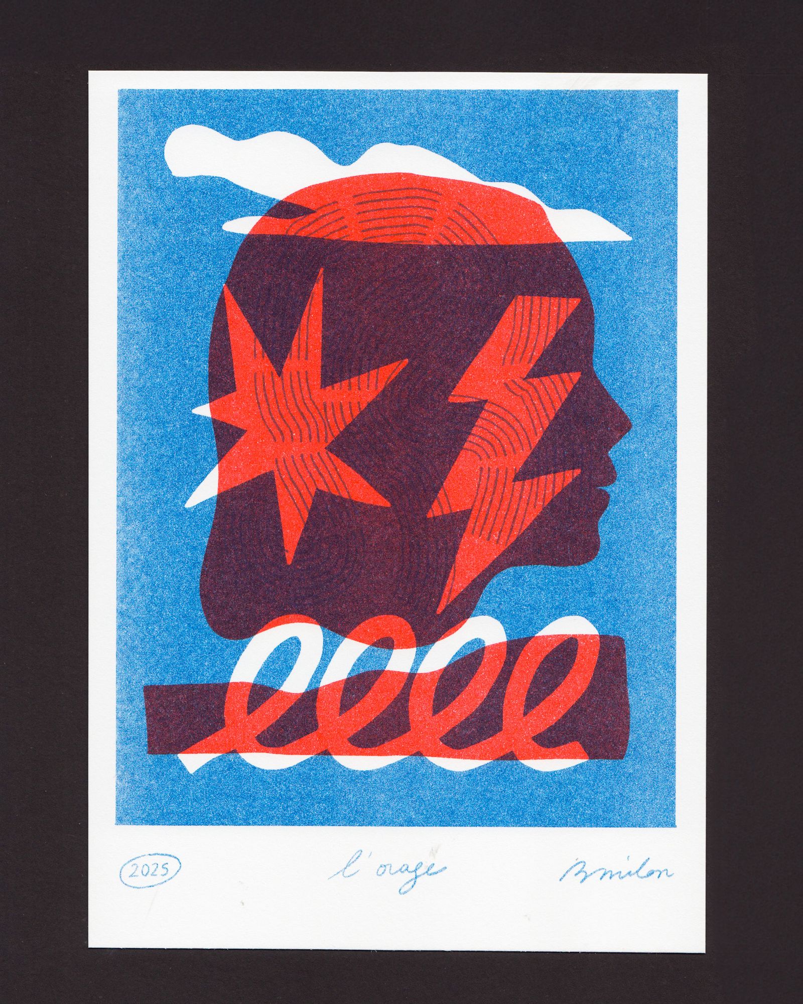 Personal work - Bérénice Milon - Illustration - Swan MGMT