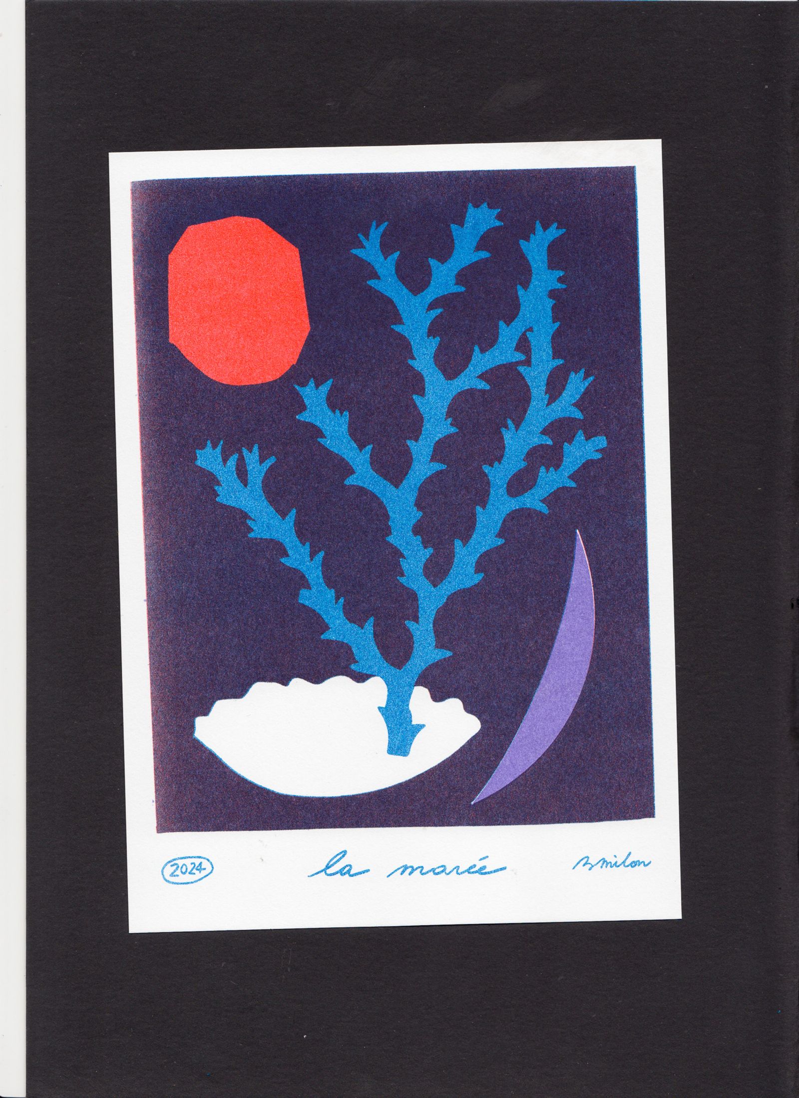 Personal work - Bérénice Milon - Illustration - Swan MGMT