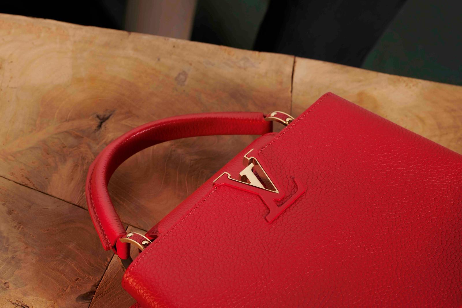 Louis Vuitton,|Photography by Joan Braun - Anna Sbiera - Set Design - Swan MGMT