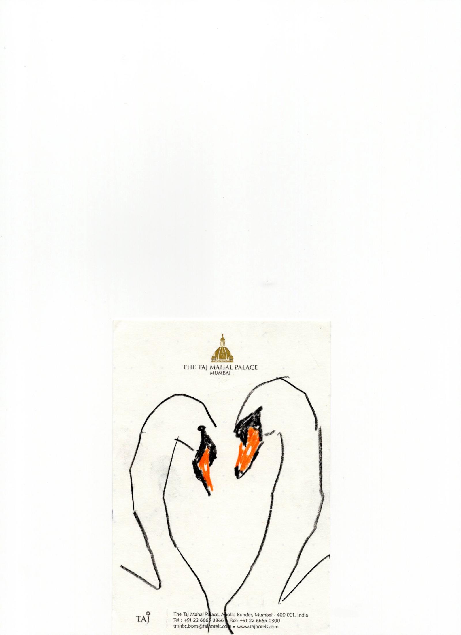 Room service book - Michael McGregor - Illustration - Swan MGMT