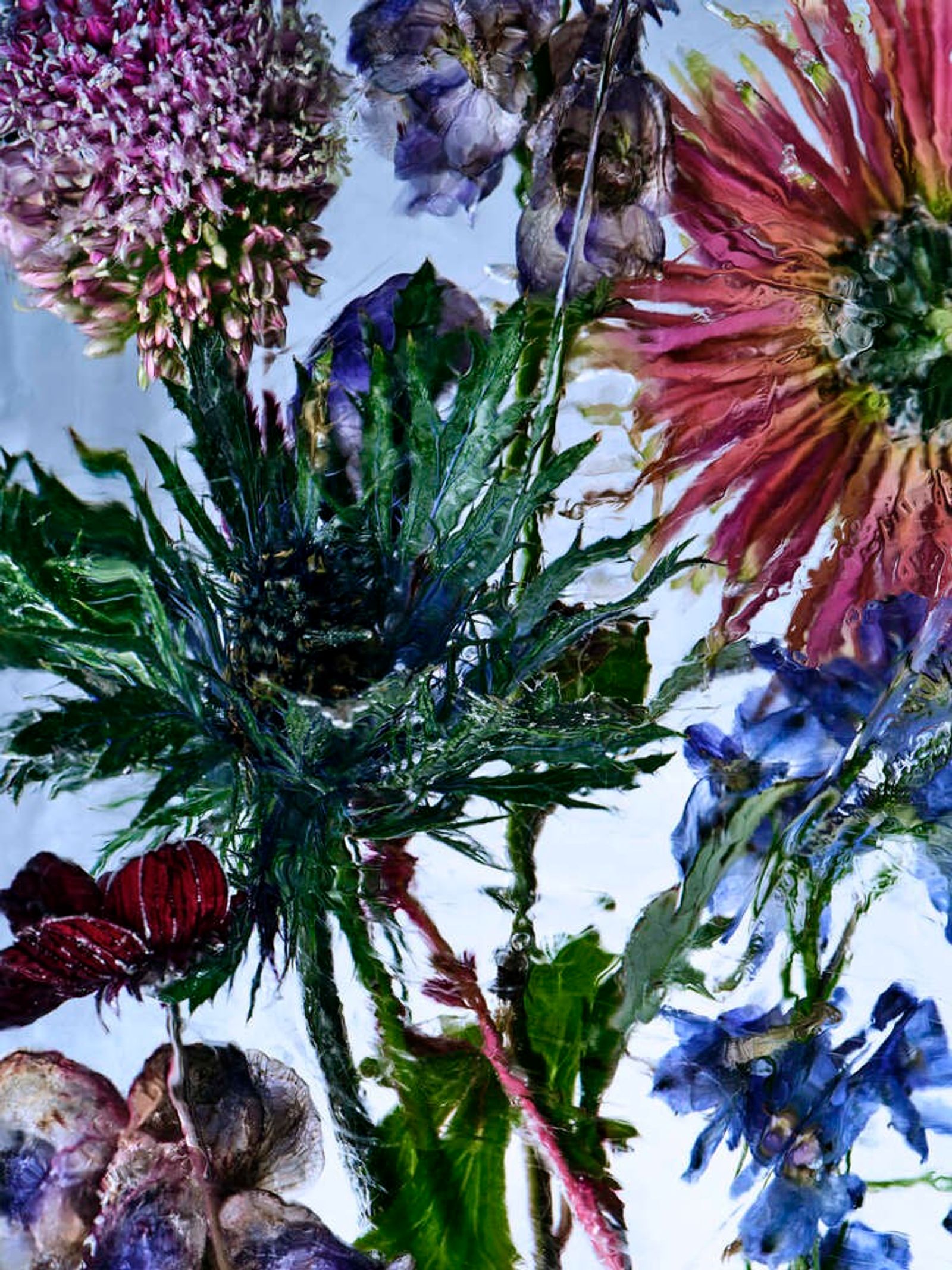 Vilhelm,|Photography by Benjamin Vigliotta - Rémi Le Garrec - Set Design - Swan MGMT