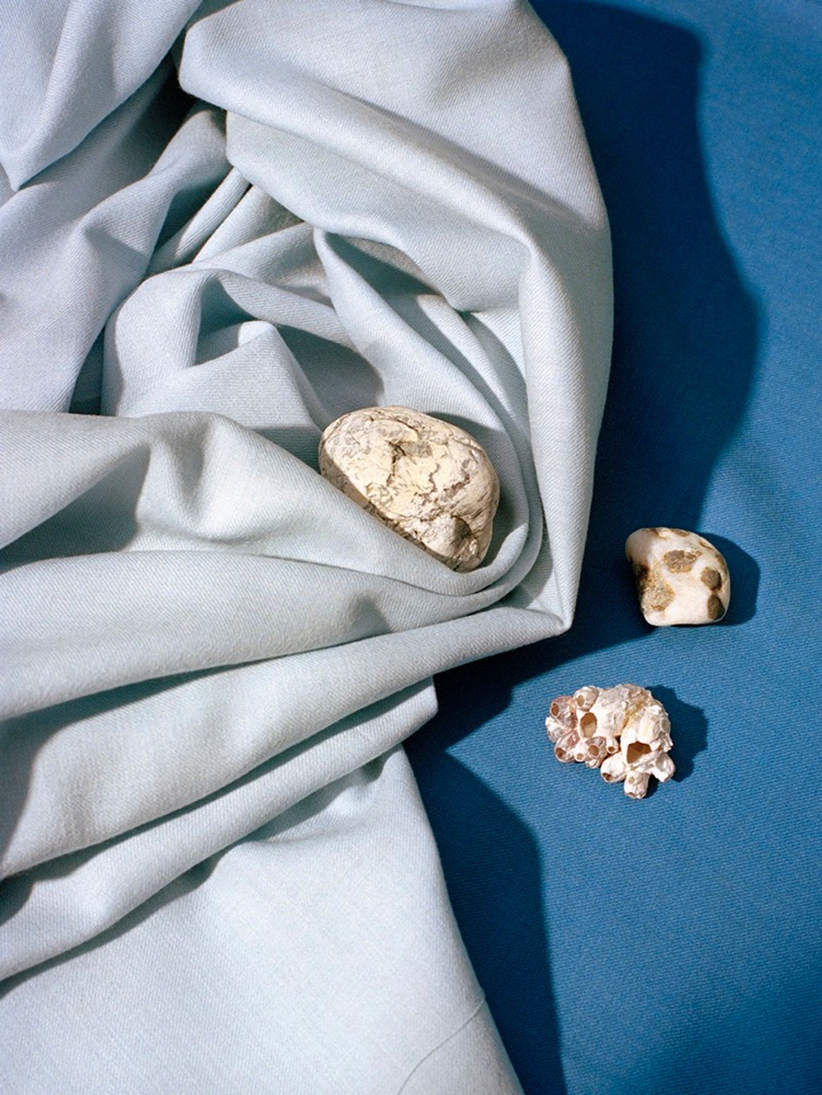 Doing Bird - Victoria Zschommler - Photography - Swan MGMT