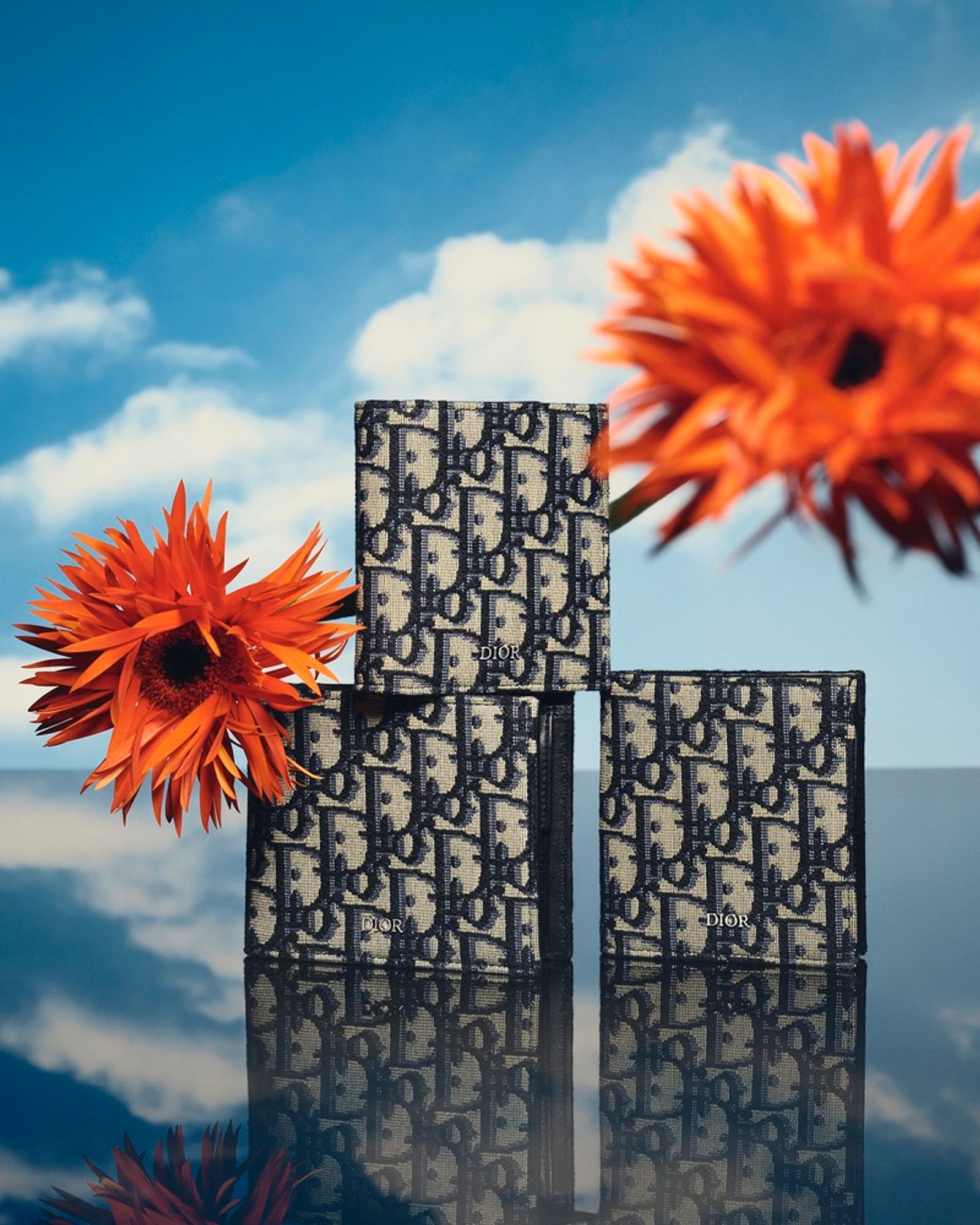 Dior,|Photography by Romain Roucoules - Sebastien Michelini - Set Design - Swan MGMT