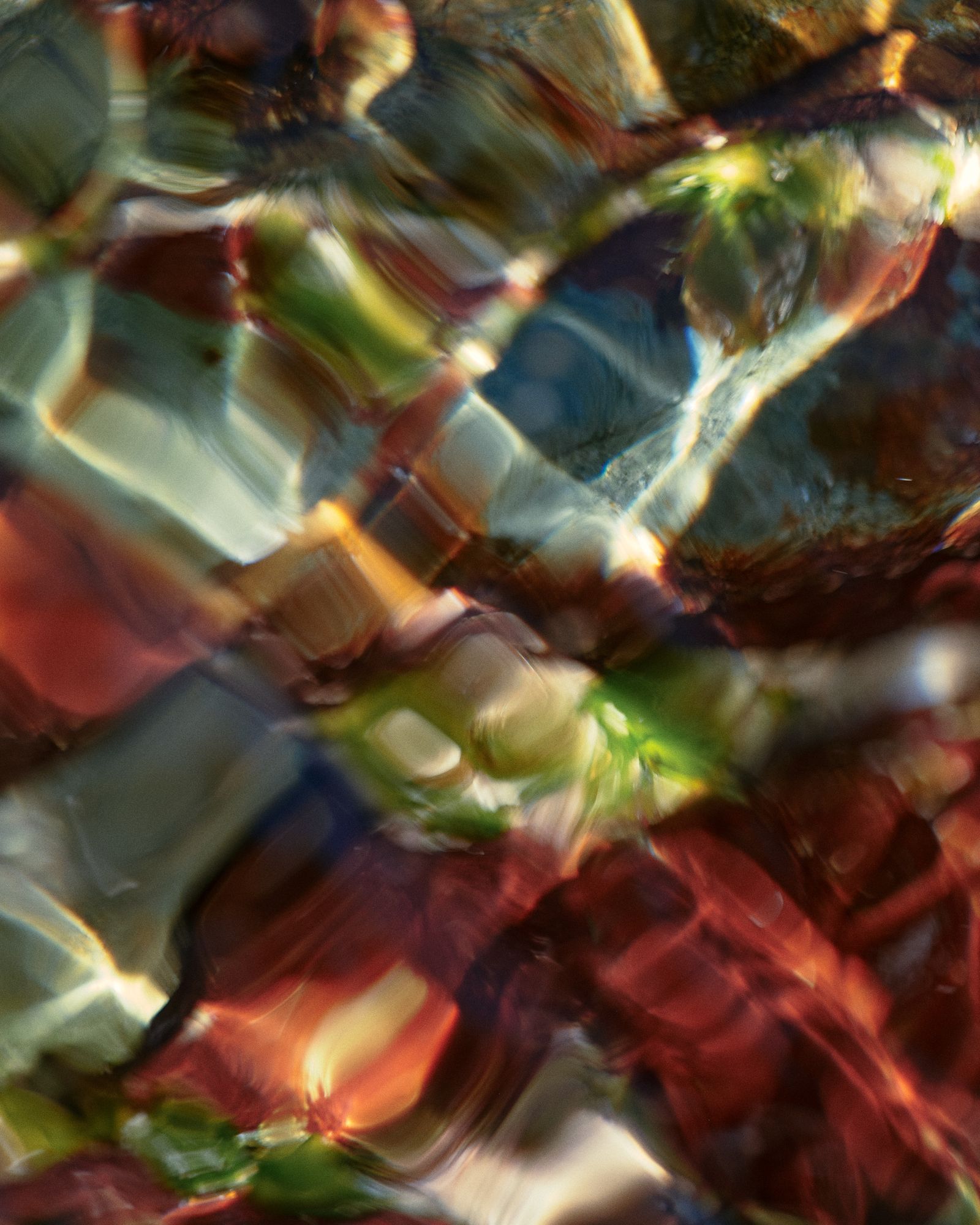 Low tide (personal work) - Victoria Zschommler - Photography - Swan MGMT