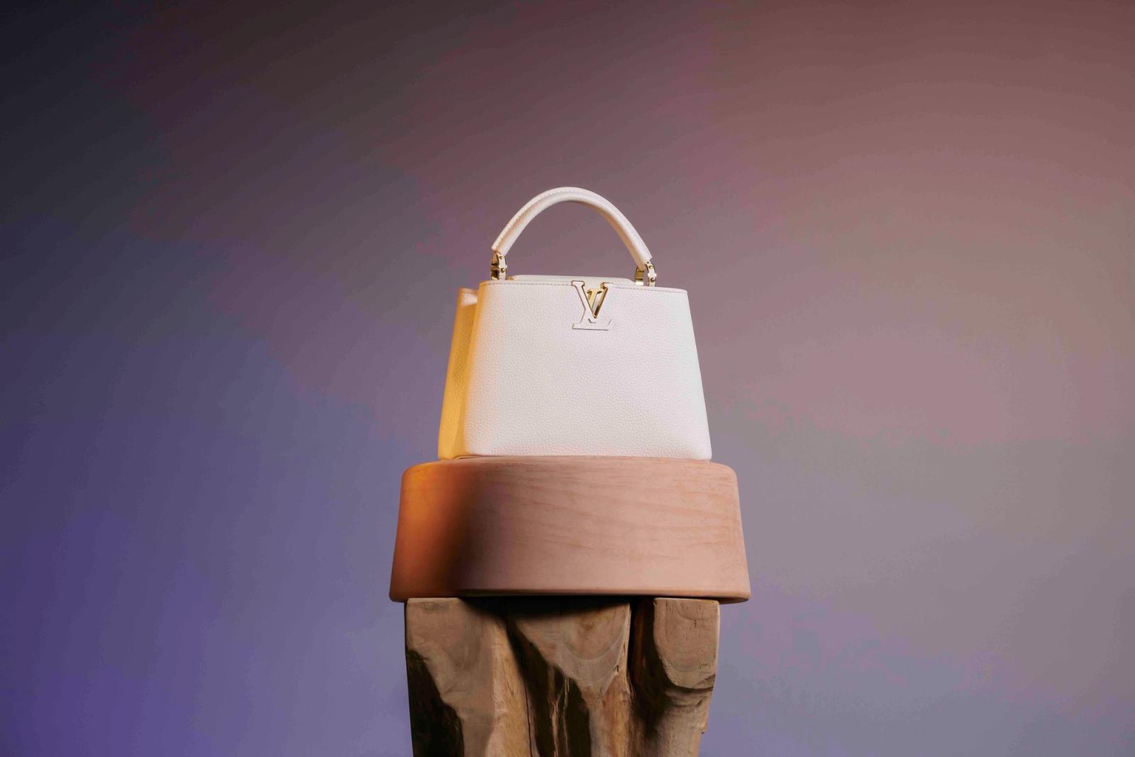 Louis Vuitton,|Photography by Joan Braun - Anna Sbiera - Set Design - Swan MGMT