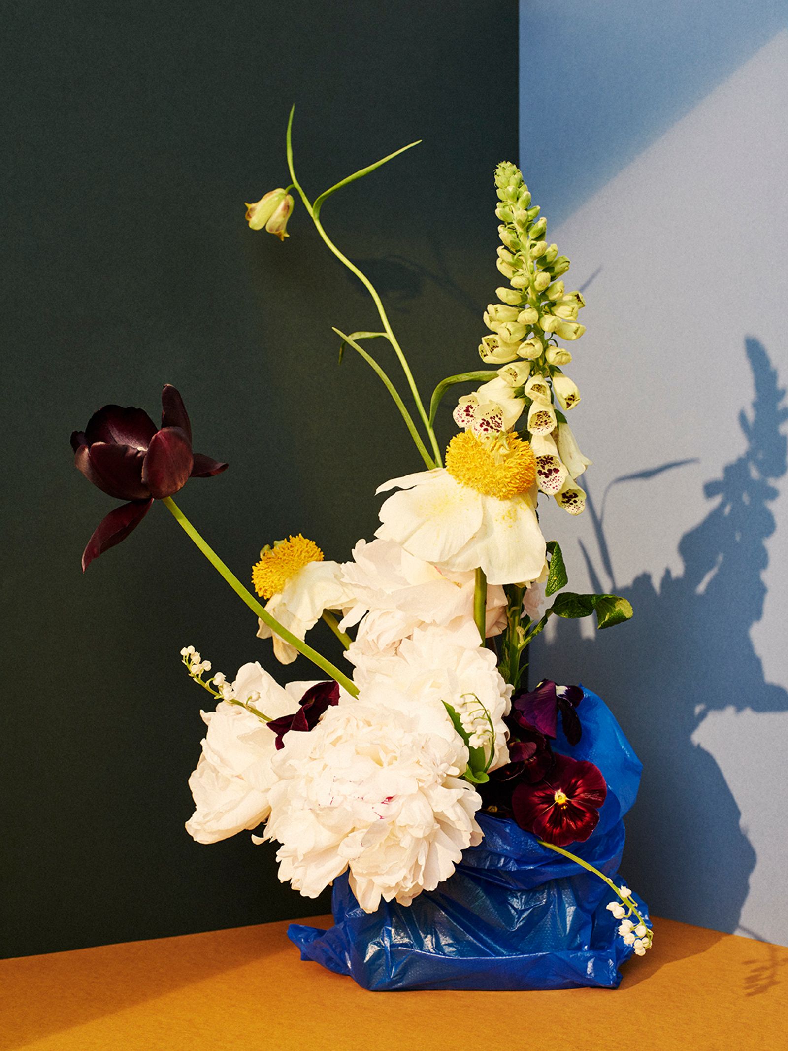 Flowers - Victoria Zschommler - Photography - Swan MGMT