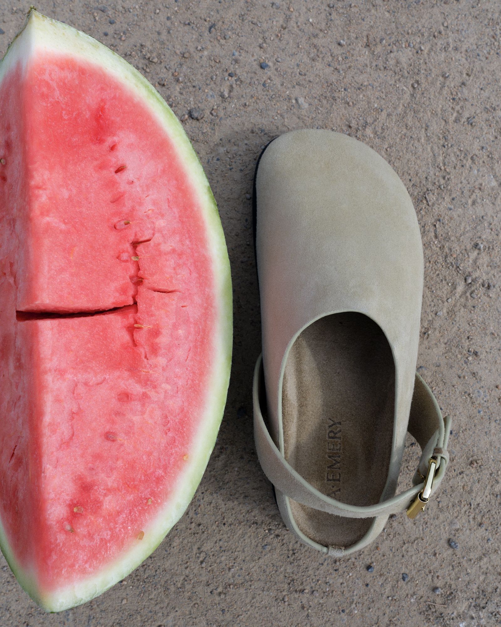 Camargue - Victoria Zschommler - Photography - Swan MGMT