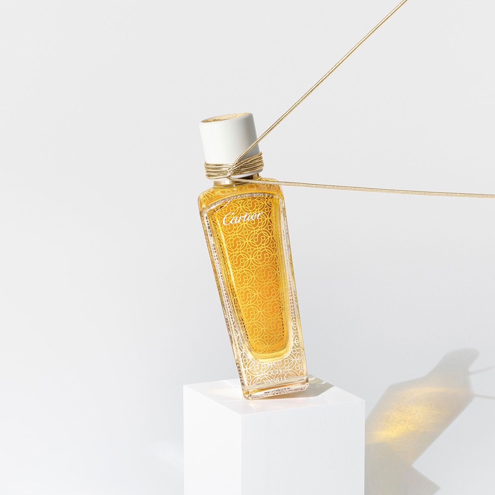 Cartier,|Photography by Studio KH - Sebastien Michelini - Set Design - Swan MGMT