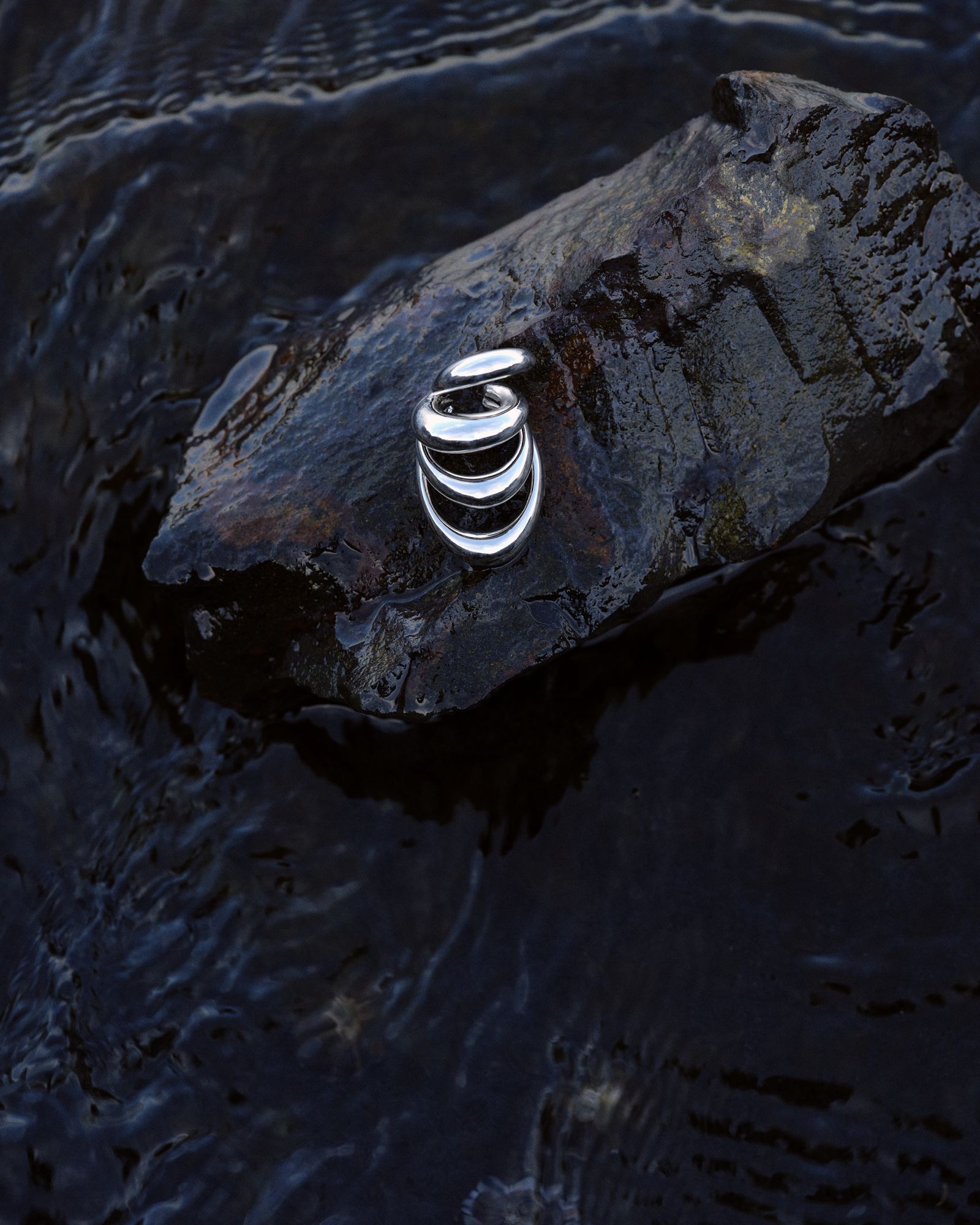 Camargue - Victoria Zschommler - Photography - Swan MGMT