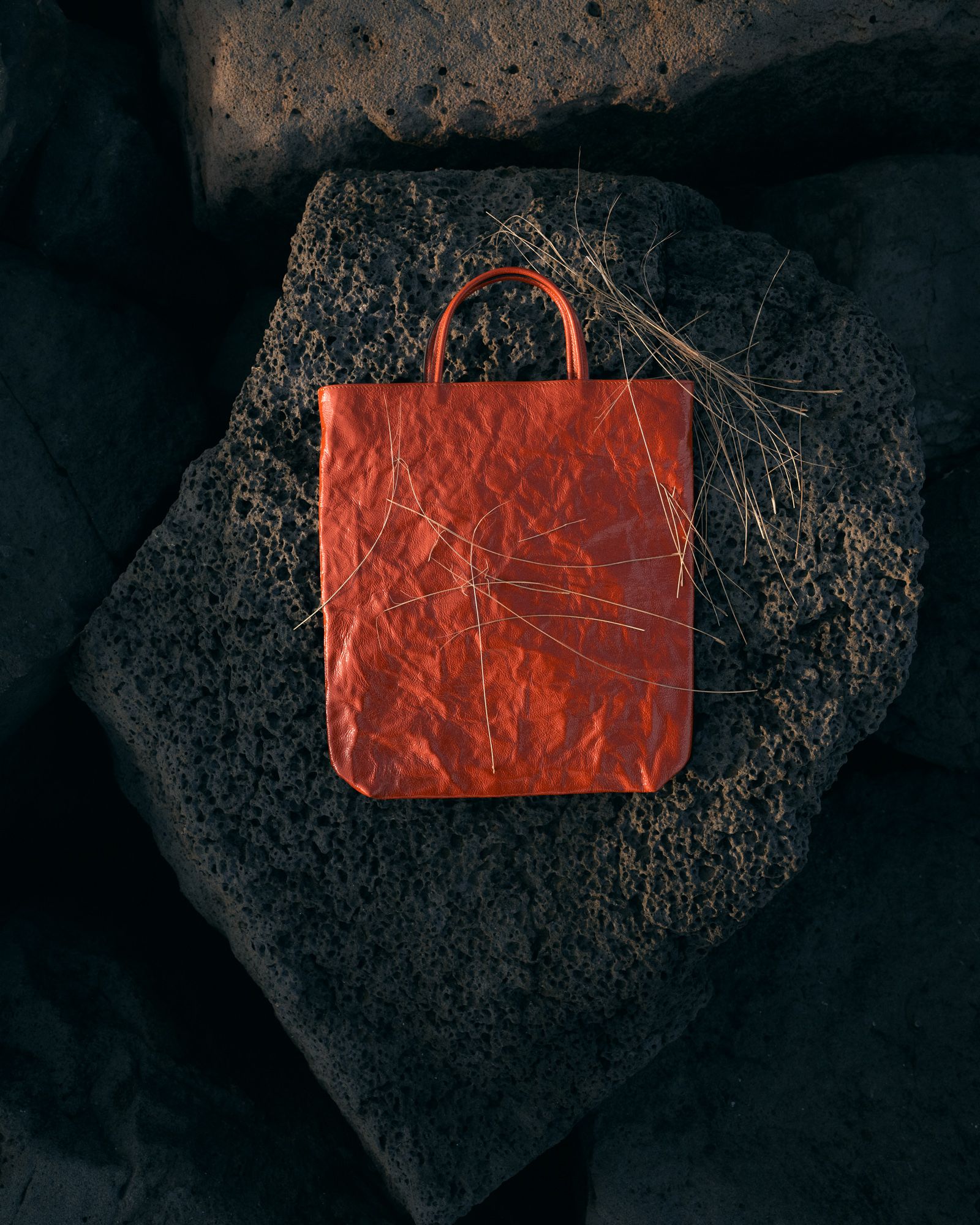 Camargue - Victoria Zschommler - Photography - Swan MGMT