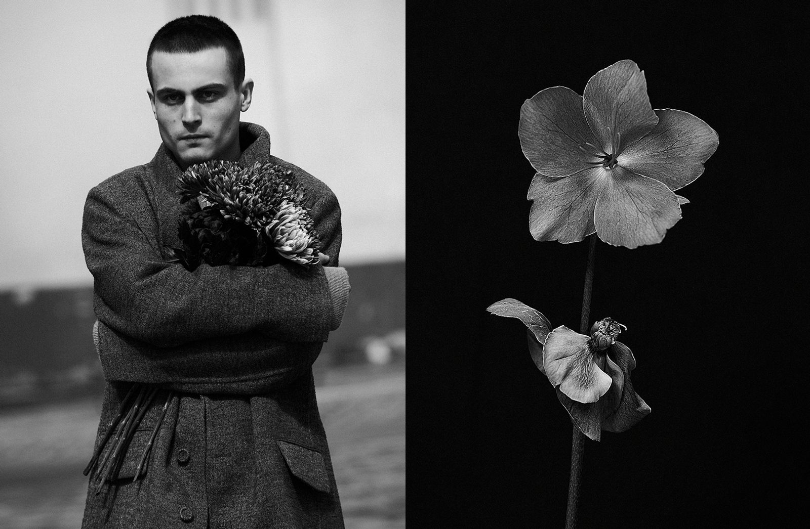 D section,|with Julien de Saint Jean - Laurent Humbert - Photography - Swan MGMT