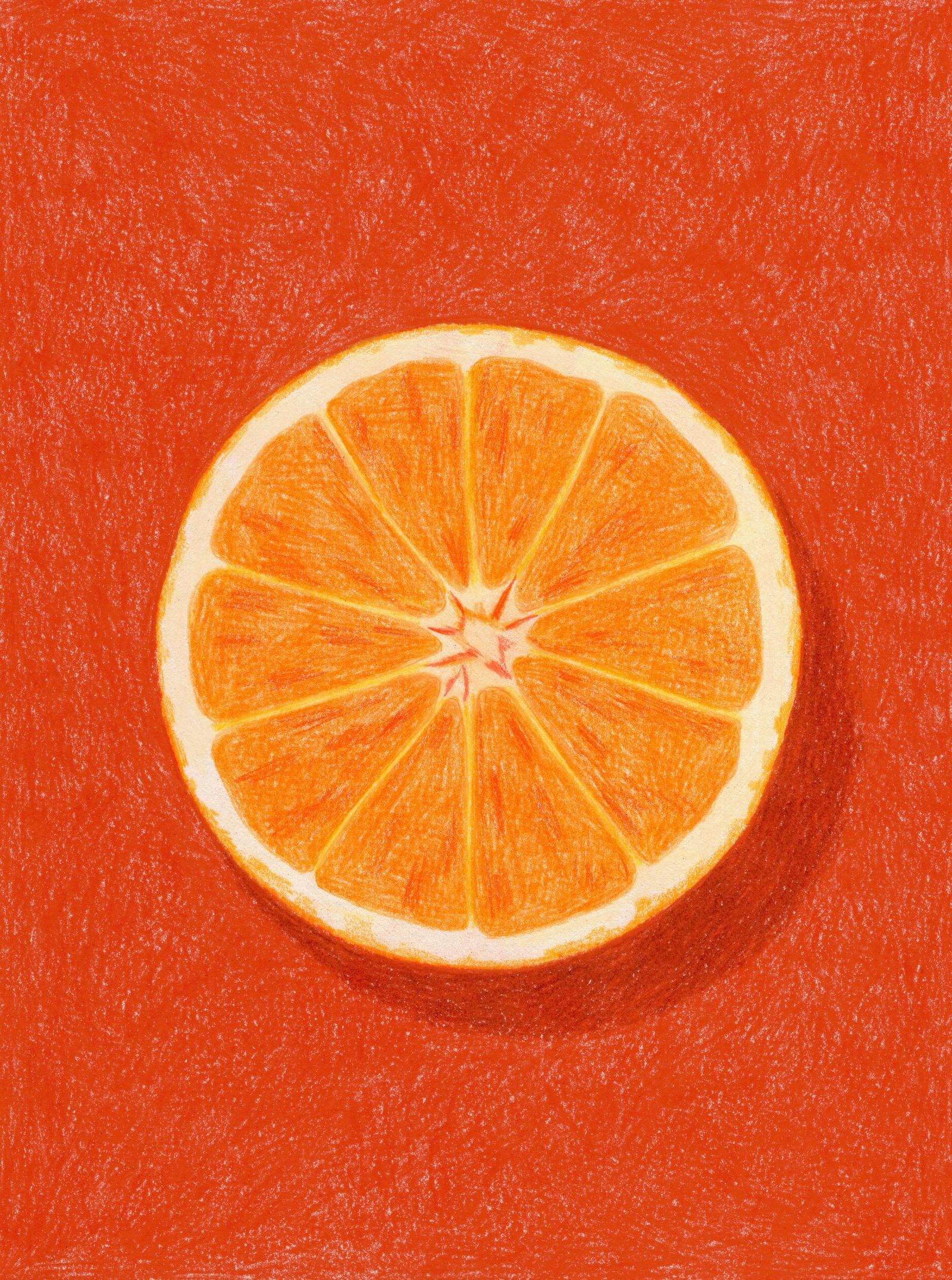 HERMES Objects, spring-summer 2027 - Julie Jonquet-Caunes - Illustration - Swan MGMT