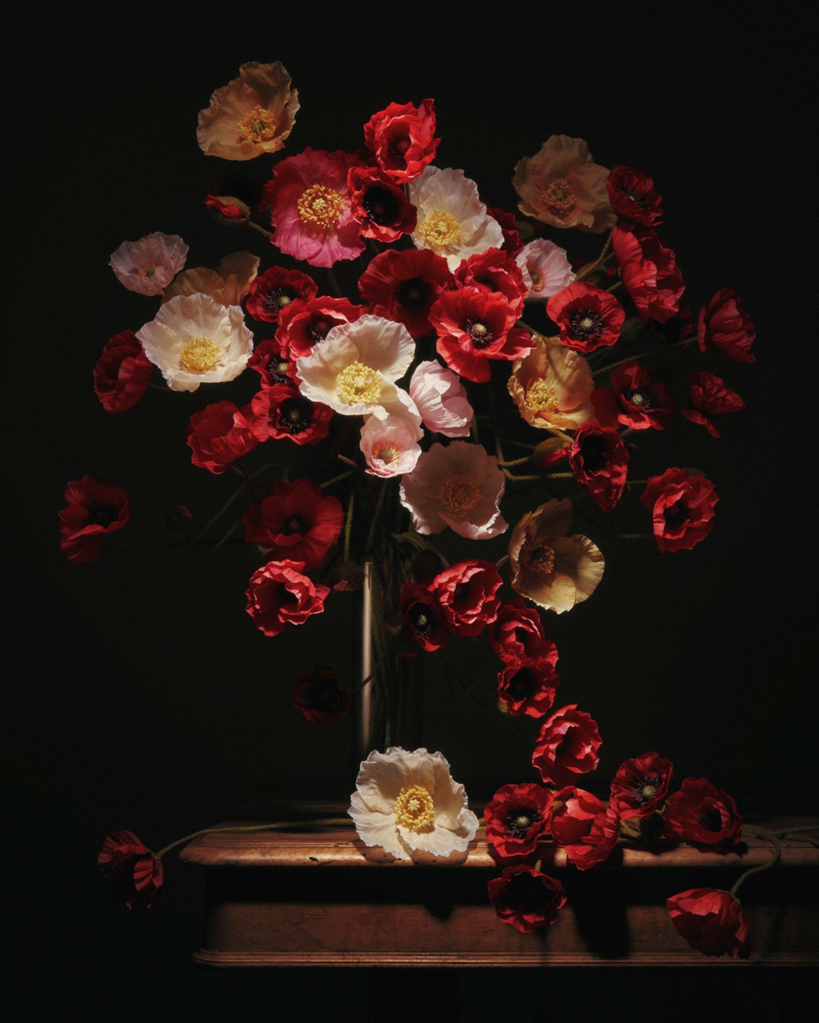 Flora Magnifica,|Photography by Romain Roucoules - Anna Piasek - Set Design - Swan MGMT
