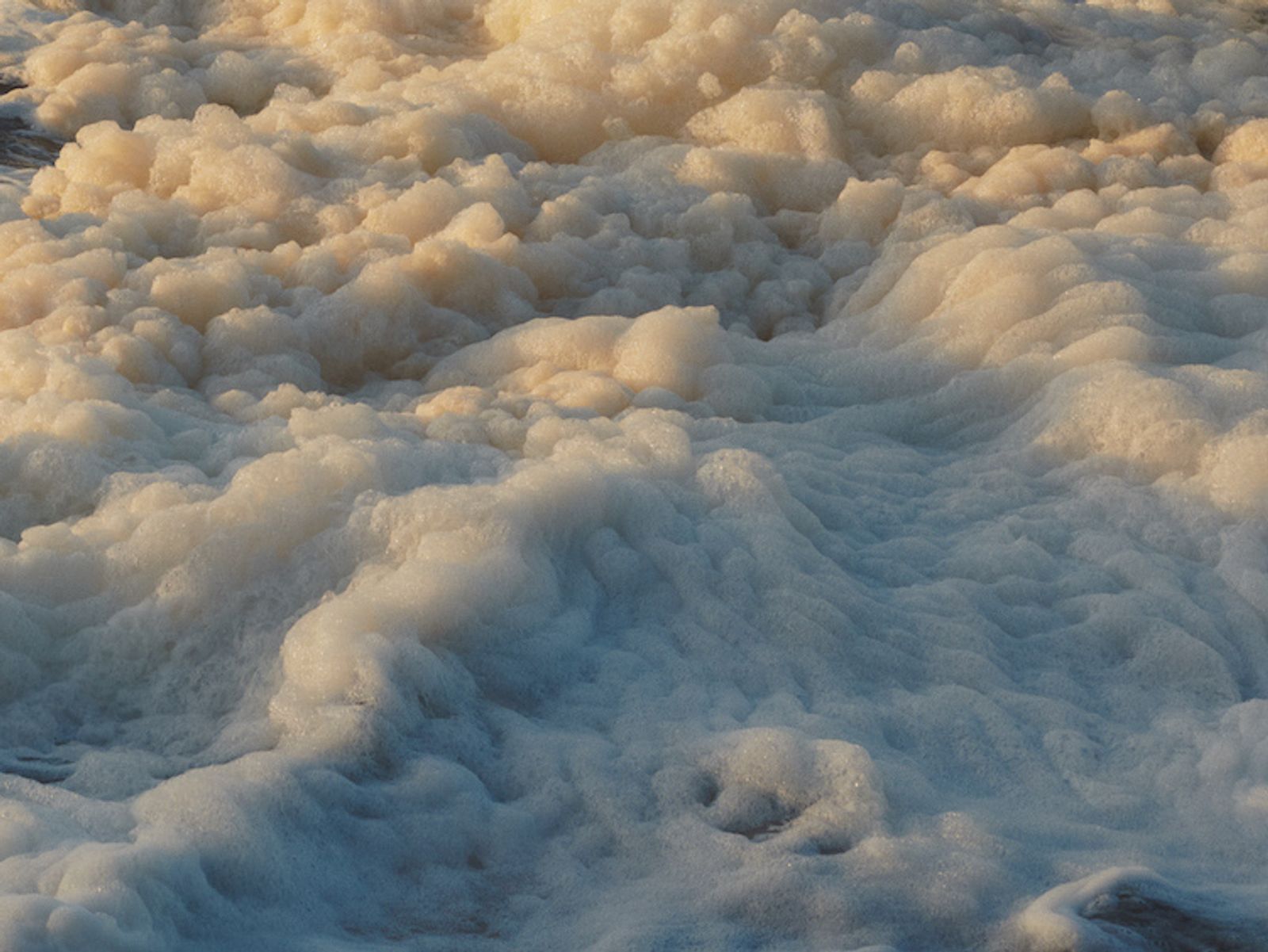 La Mer - Victoria Zschommler - Photography - Swan MGMT