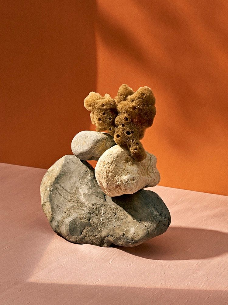 Doing Bird - Victoria Zschommler - Photography - Swan MGMT