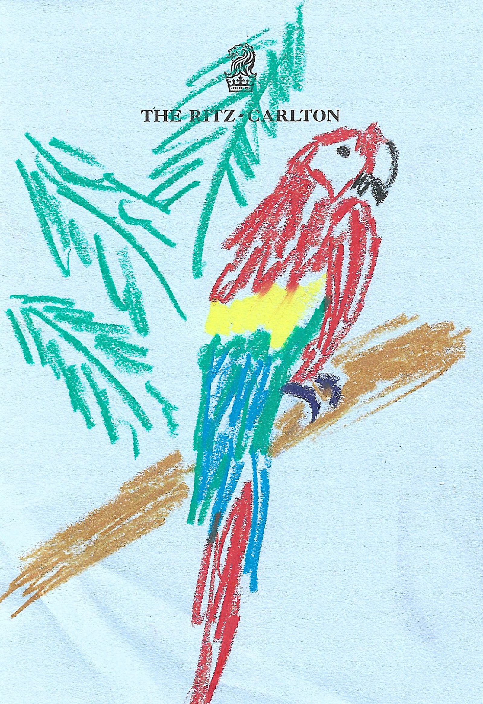 Room service book - Michael McGregor - Illustration - Swan MGMT