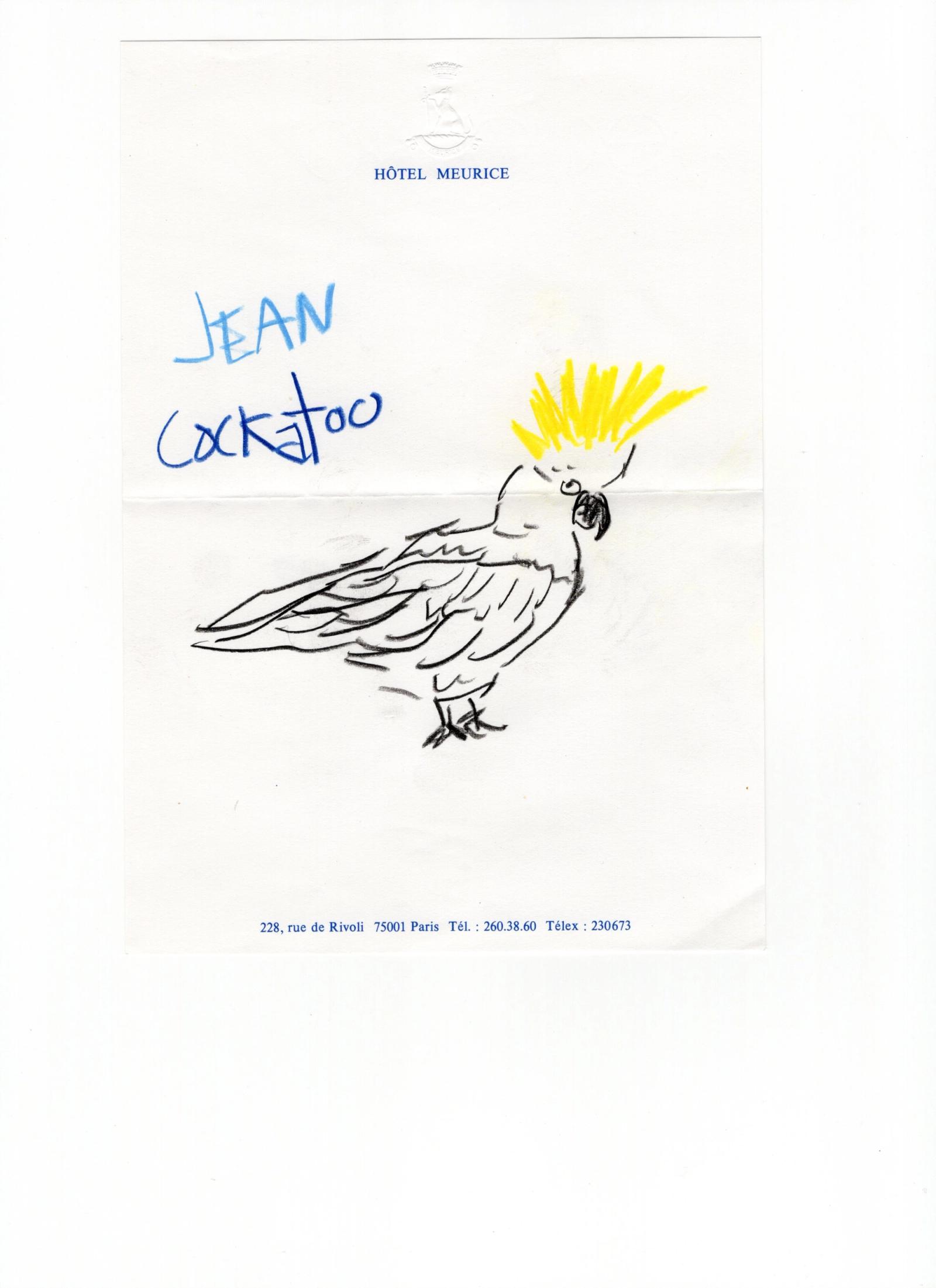 Room service book - Michael McGregor - Illustration - Swan MGMT