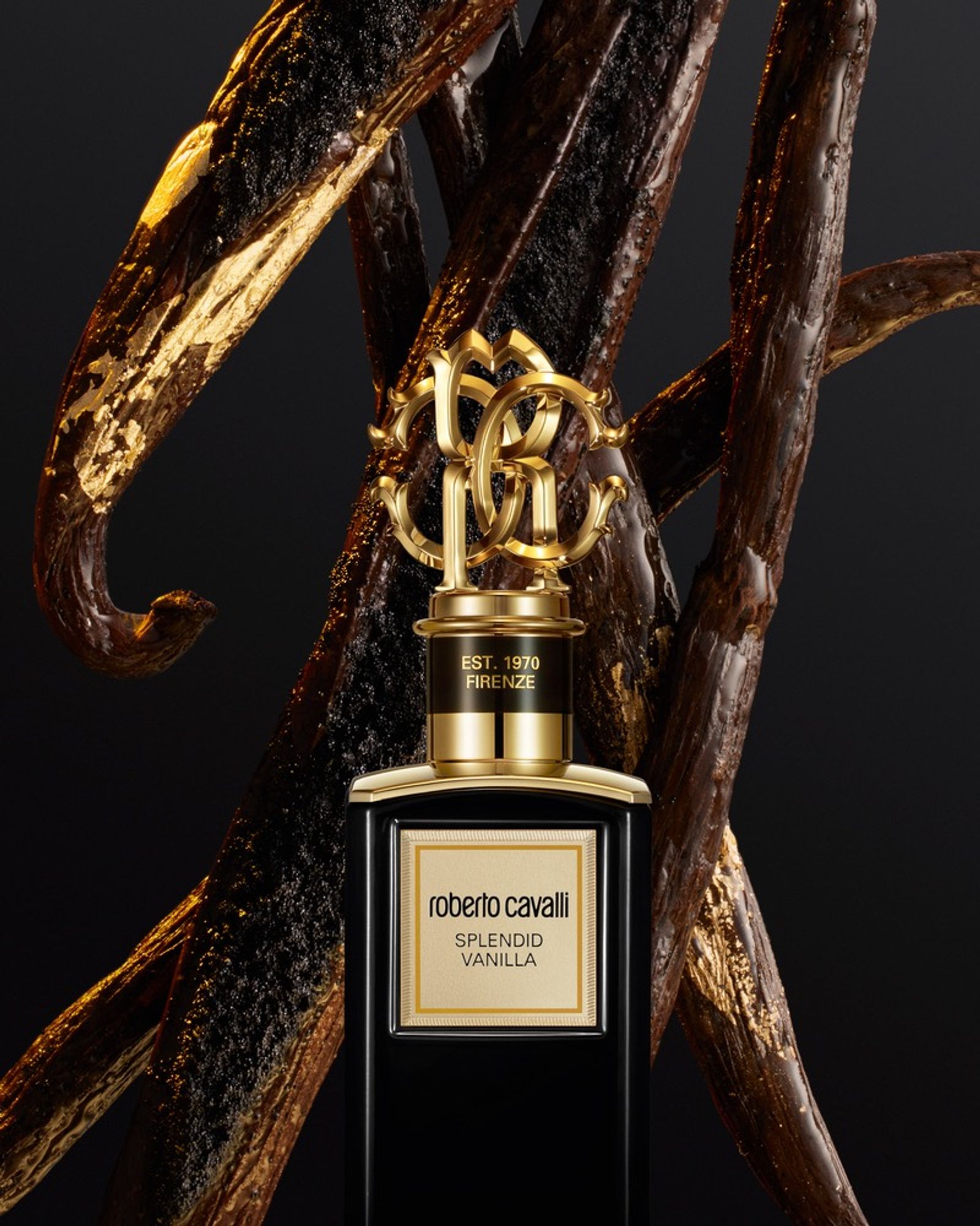 Roberto Cavalli,|Photography by Justinas Vilutus - Rémi Le Garrec - Set Design - Swan MGMT