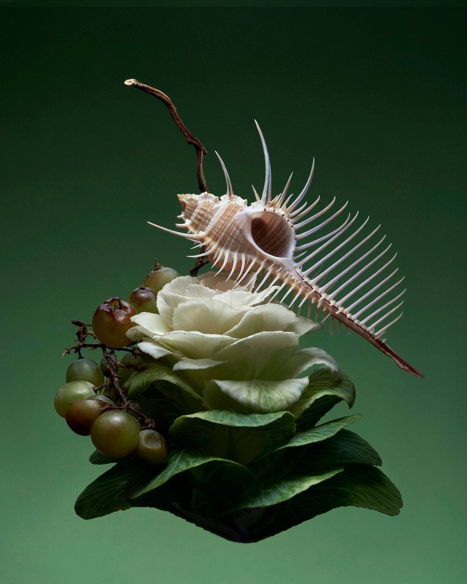 Mayday Magazine,|Photography by Romain Roucoules - Anna Piasek - Set Design - Swan MGMT