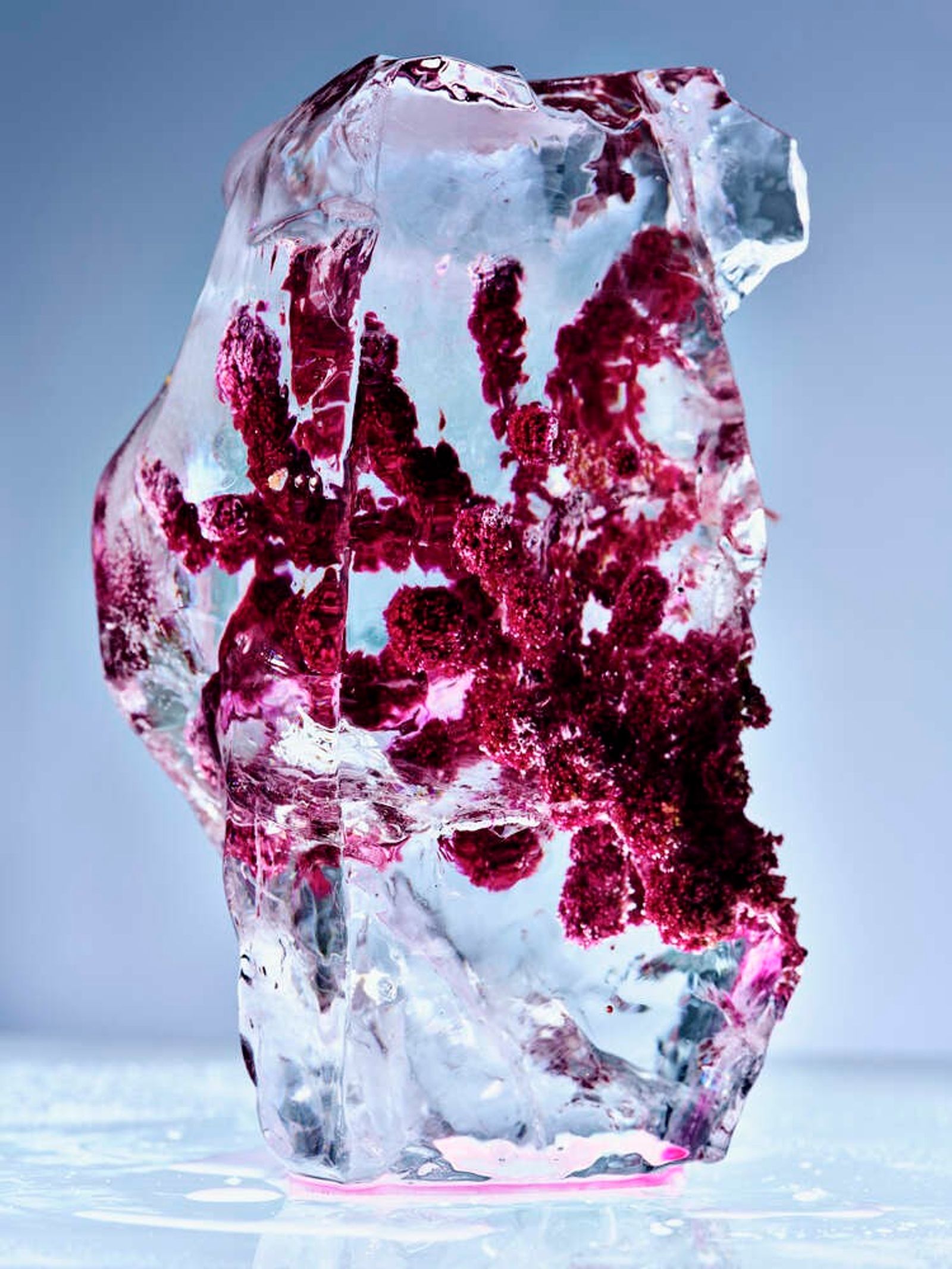 Vilhelm,|Photography by Benjamin Vigliotta - Rémi Le Garrec - Set Design - Swan MGMT