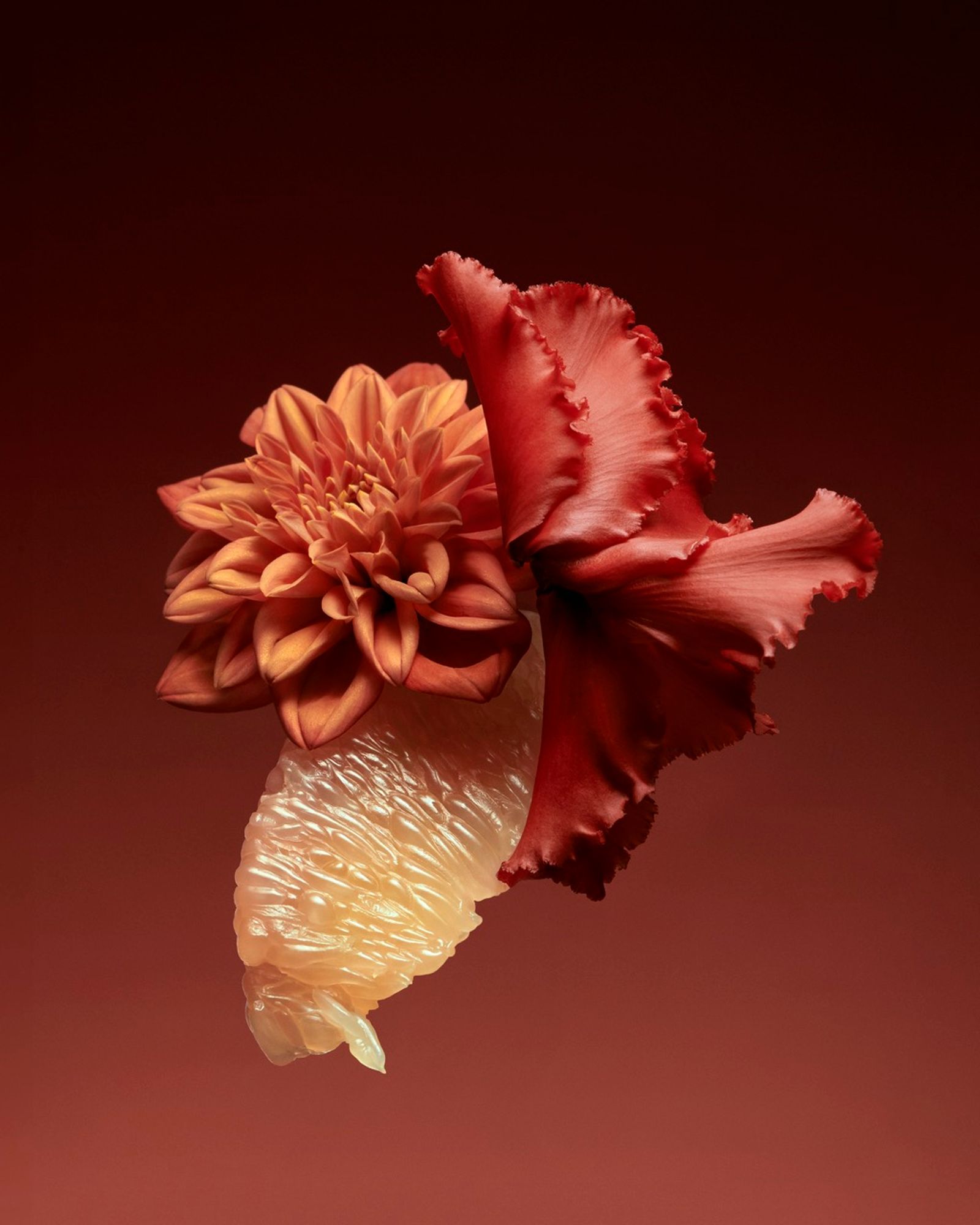 Mayday Magazine,|Photography by Romain Roucoules - Anna Piasek - Set Design - Swan MGMT