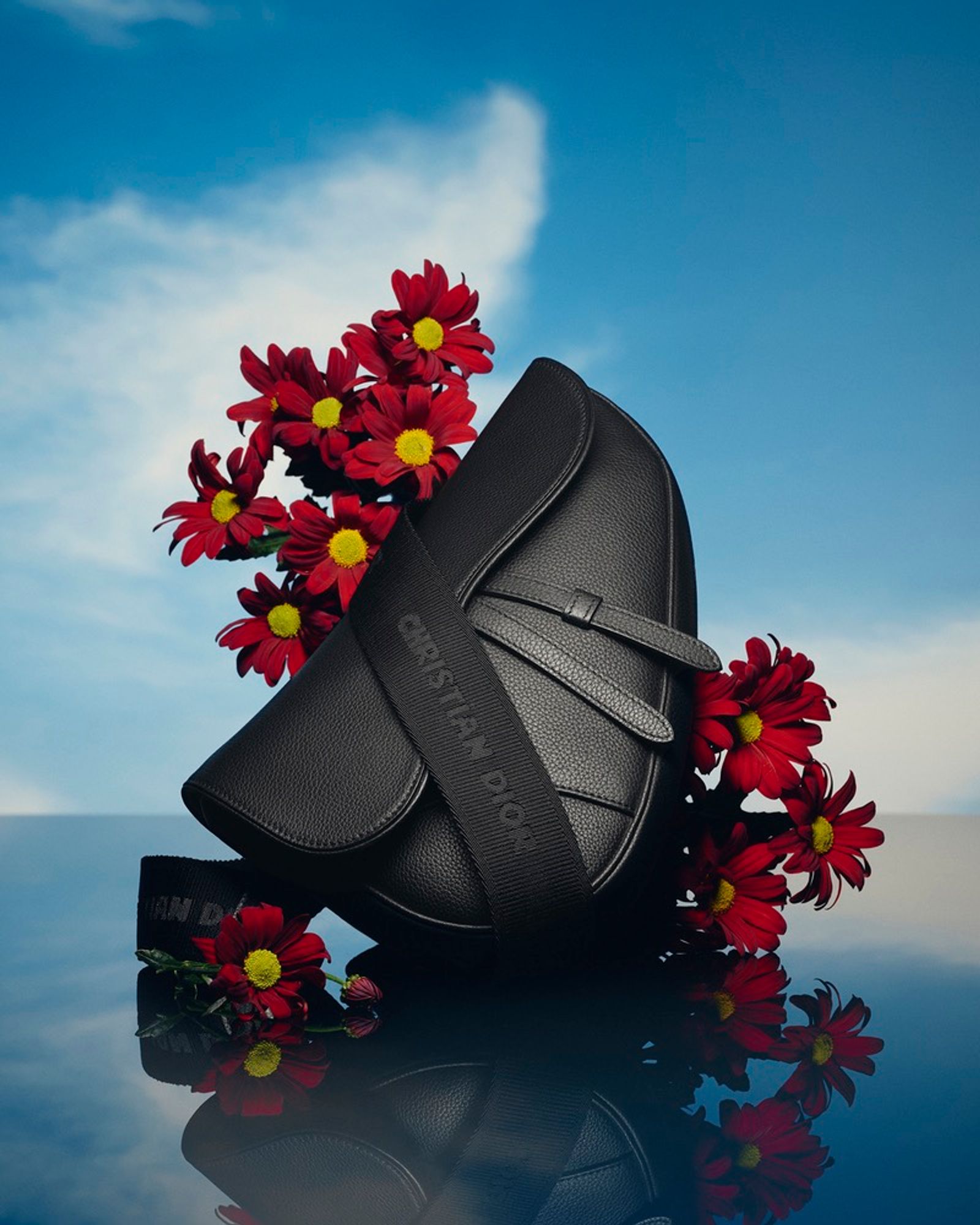 Dior,|Photography by Romain Roucoules - Sebastien Michelini - Set Design - Swan MGMT