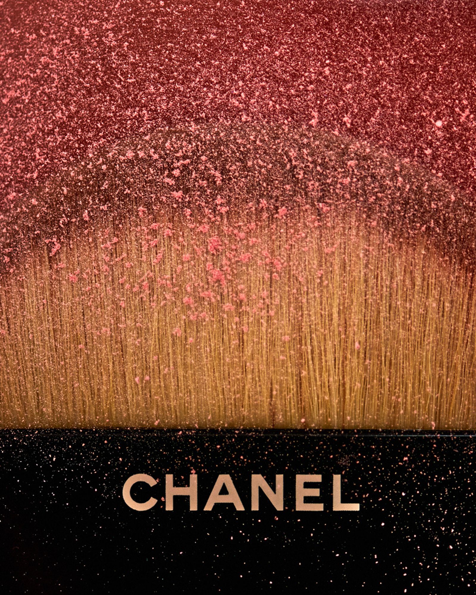 Chanel - Victoria Zschommler - Photography - Swan MGMT