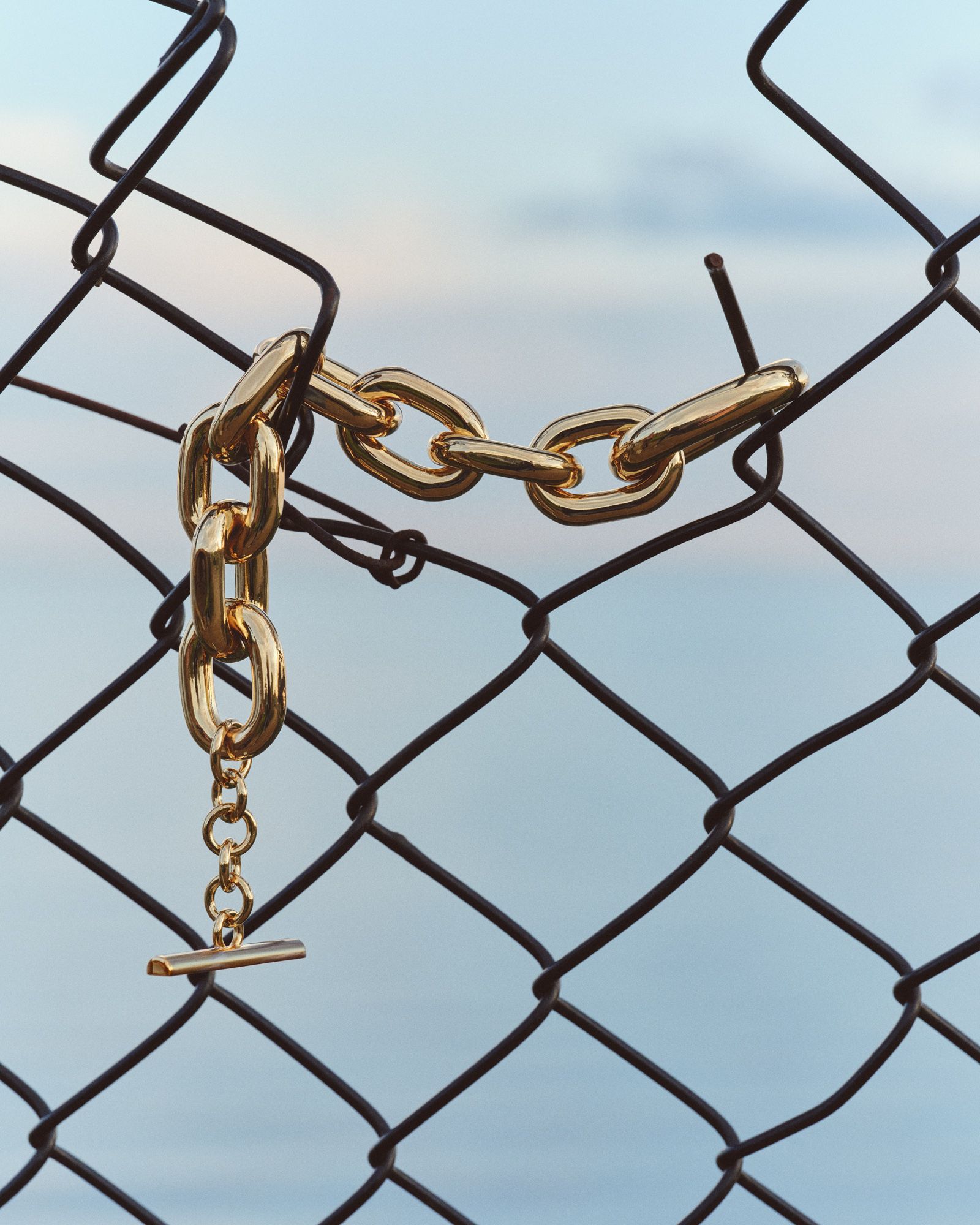 Camargue - Victoria Zschommler - Photography - Swan MGMT