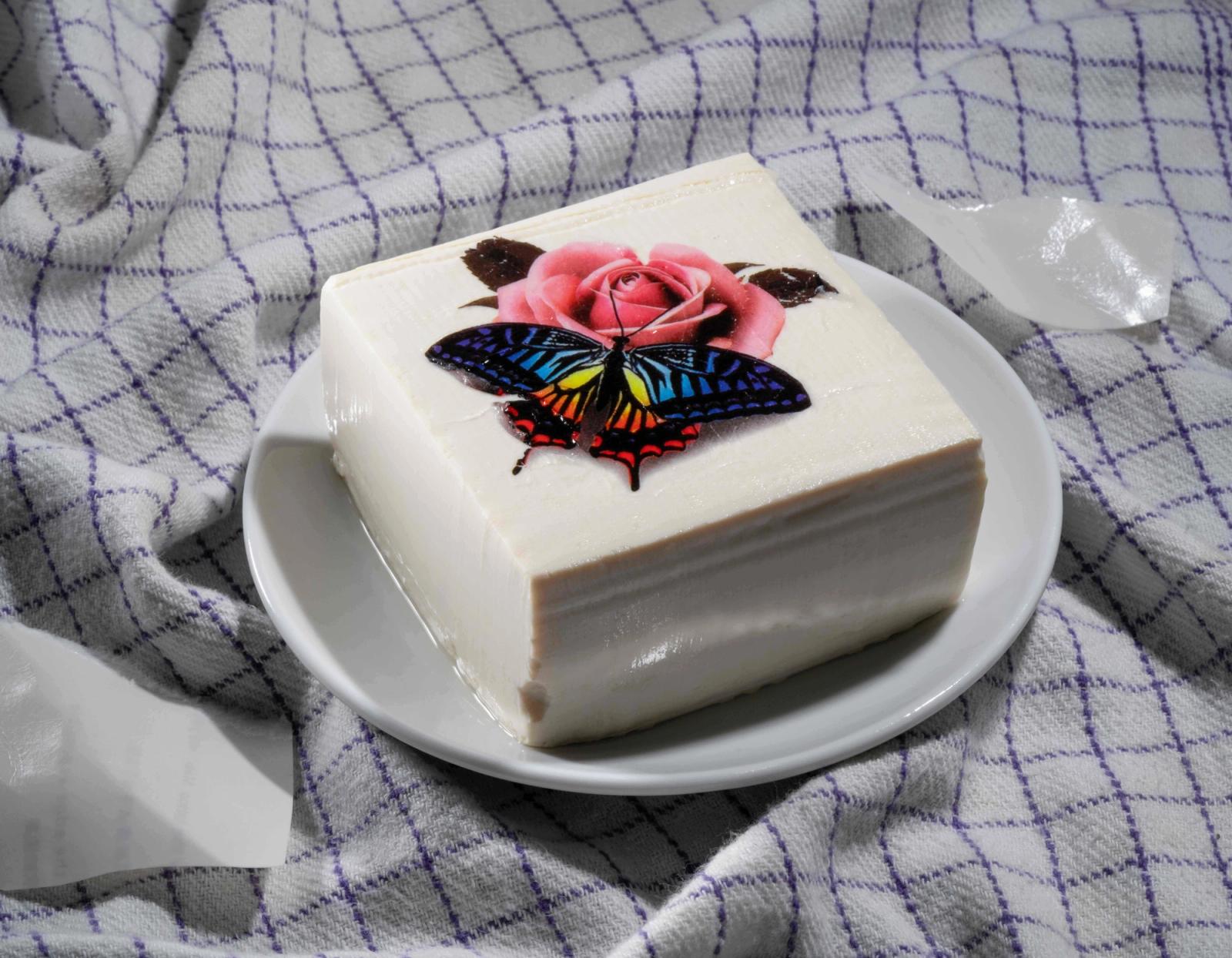 portfolio - Minh Ngoc Nguyen - Photography - Swan MGMT