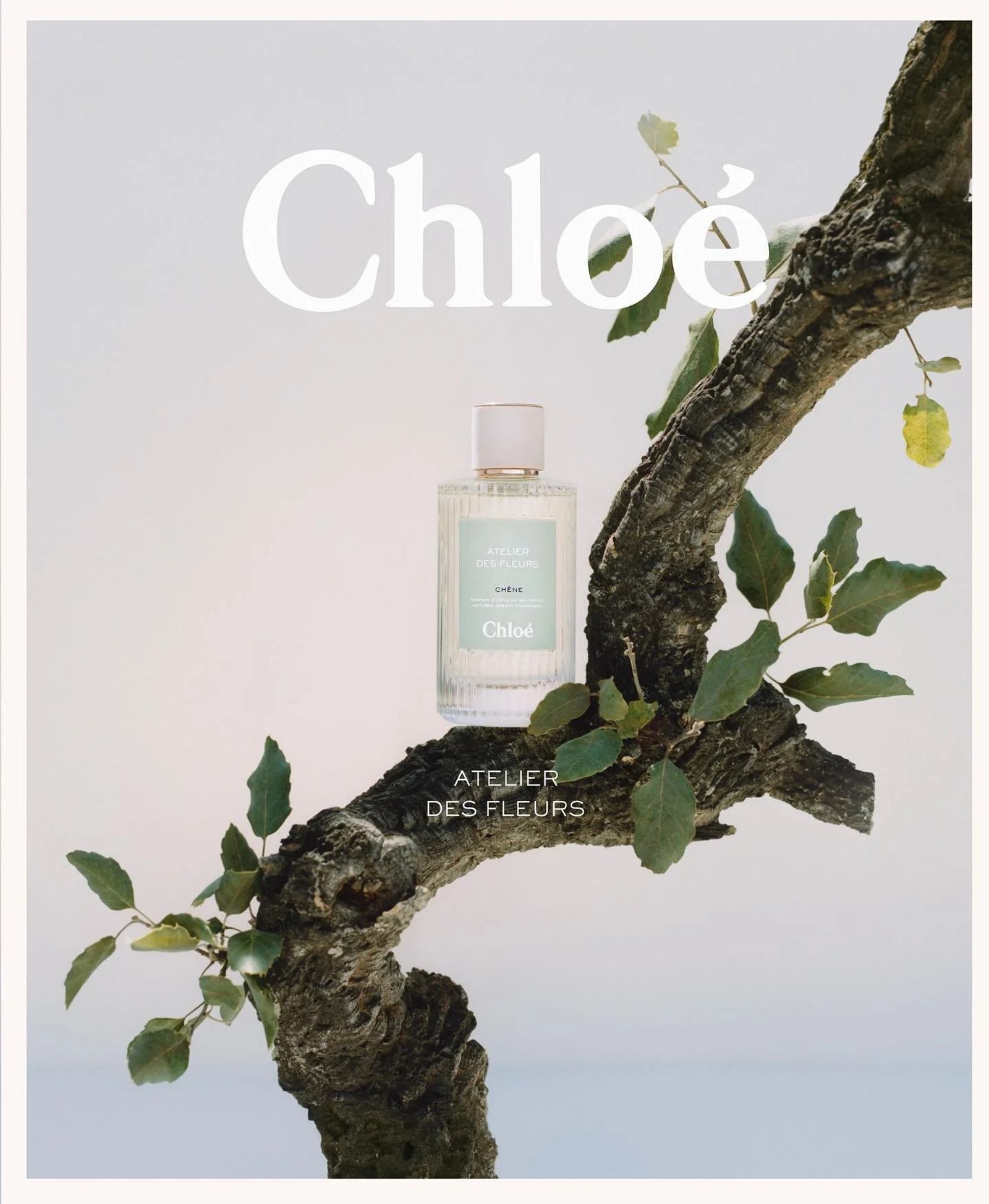 Chloe Atelier des Fleurs - Mary Lennox - Set Design - Swan MGMT