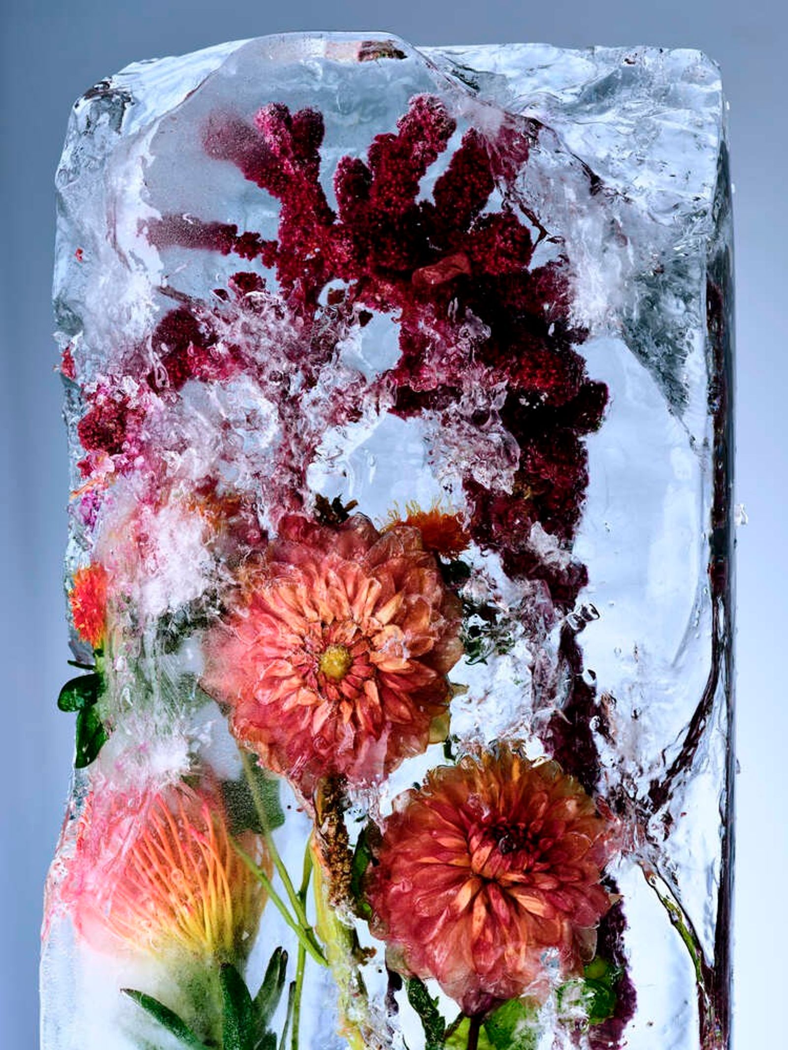 Vilhelm,|Photography by Benjamin Vigliotta - Rémi Le Garrec - Set Design - Swan MGMT